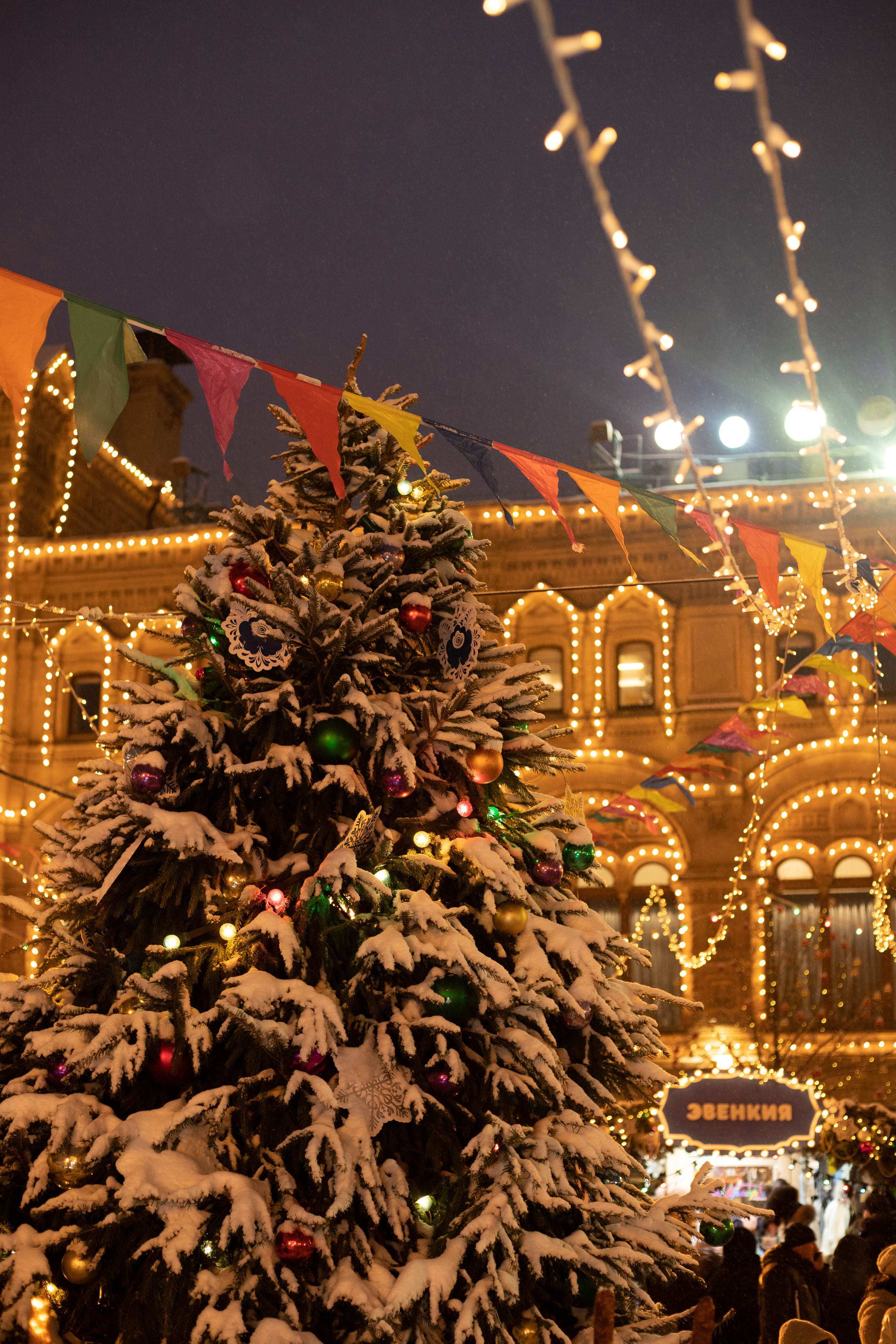 Прогулка с Марией в канун Нового года. Александра Пылёва. Фотограф. Москва