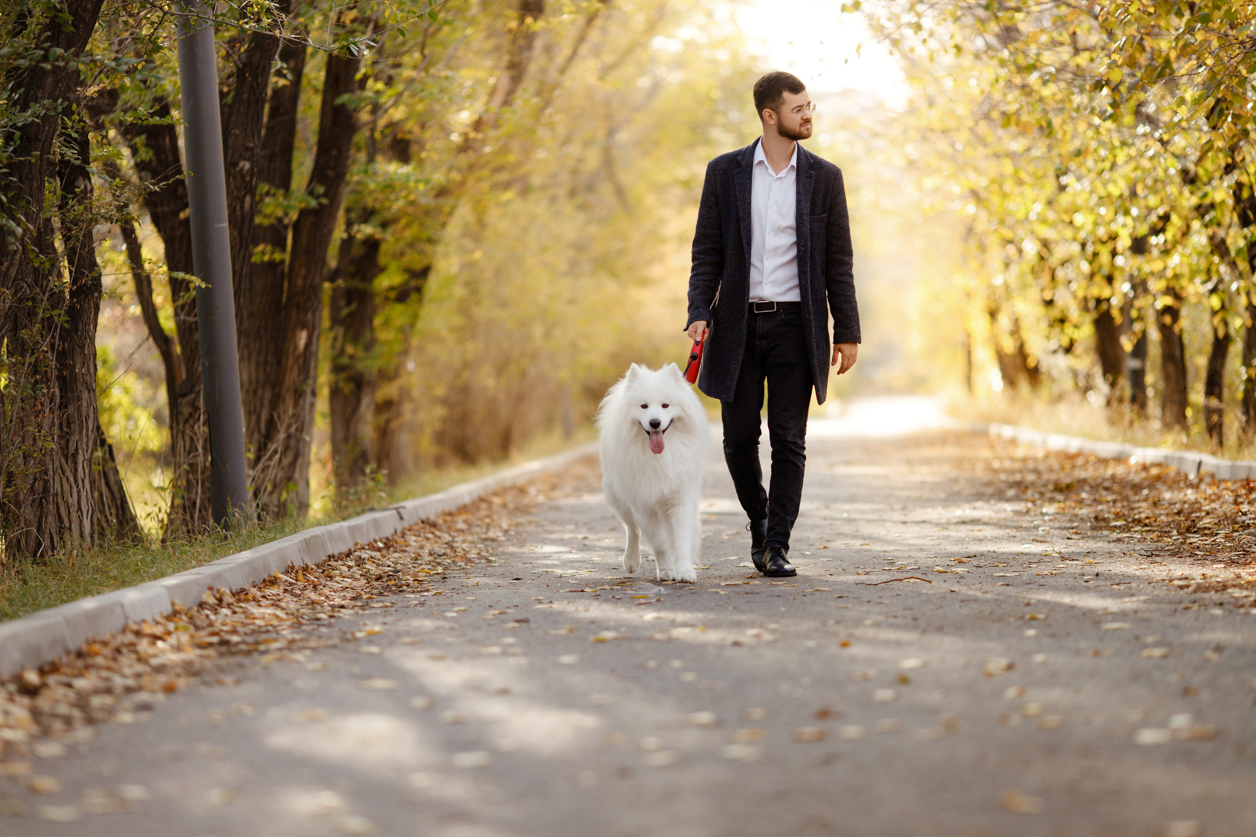 Примеры семейных фотосессий Zayats Photography. Zayats Photography / Андрей Заяц — Свадебный и Семейный фотограф в Аст