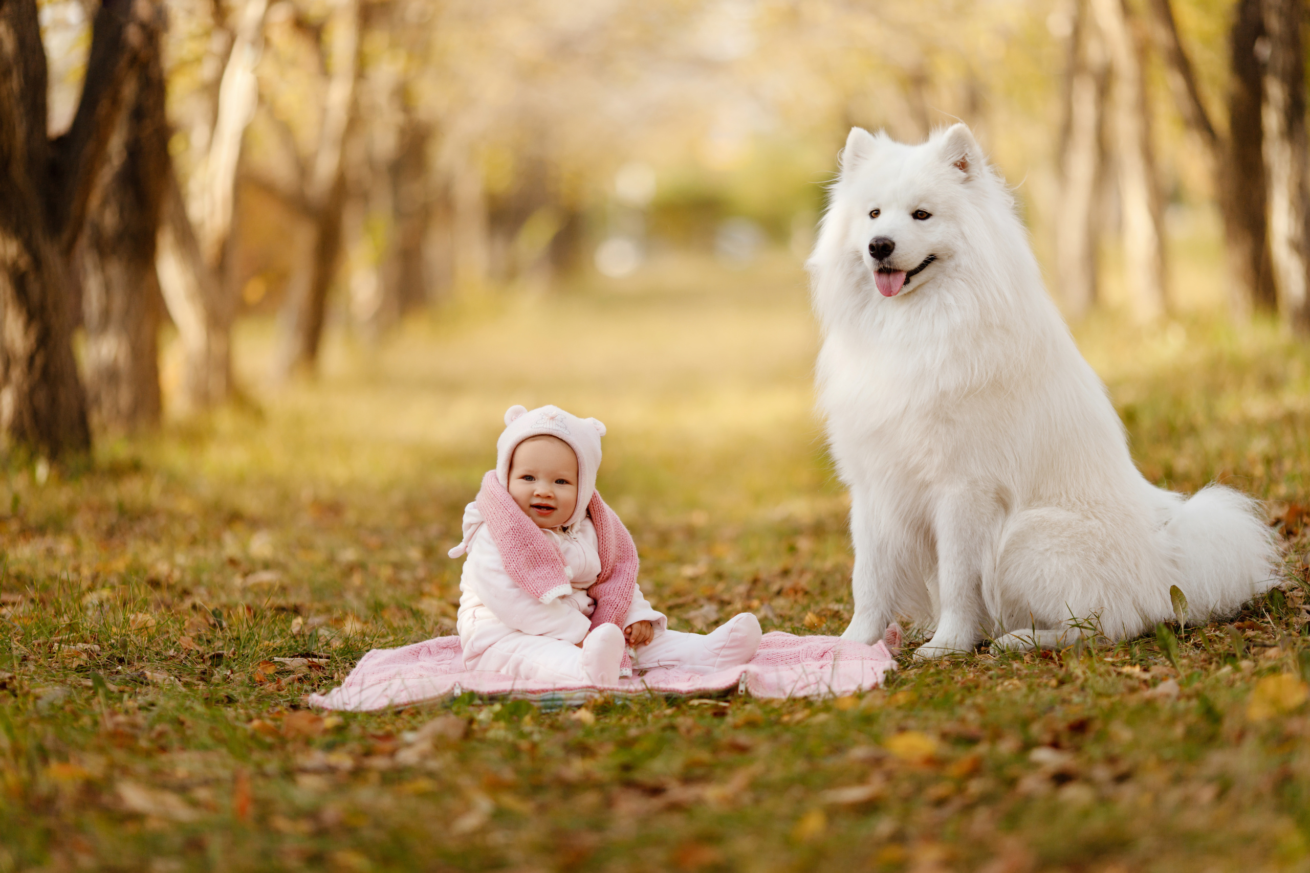Примеры семейных фотосессий Zayats Photography. Zayats Photography / Андрей Заяц — Свадебный и Семейный фотограф в Аст