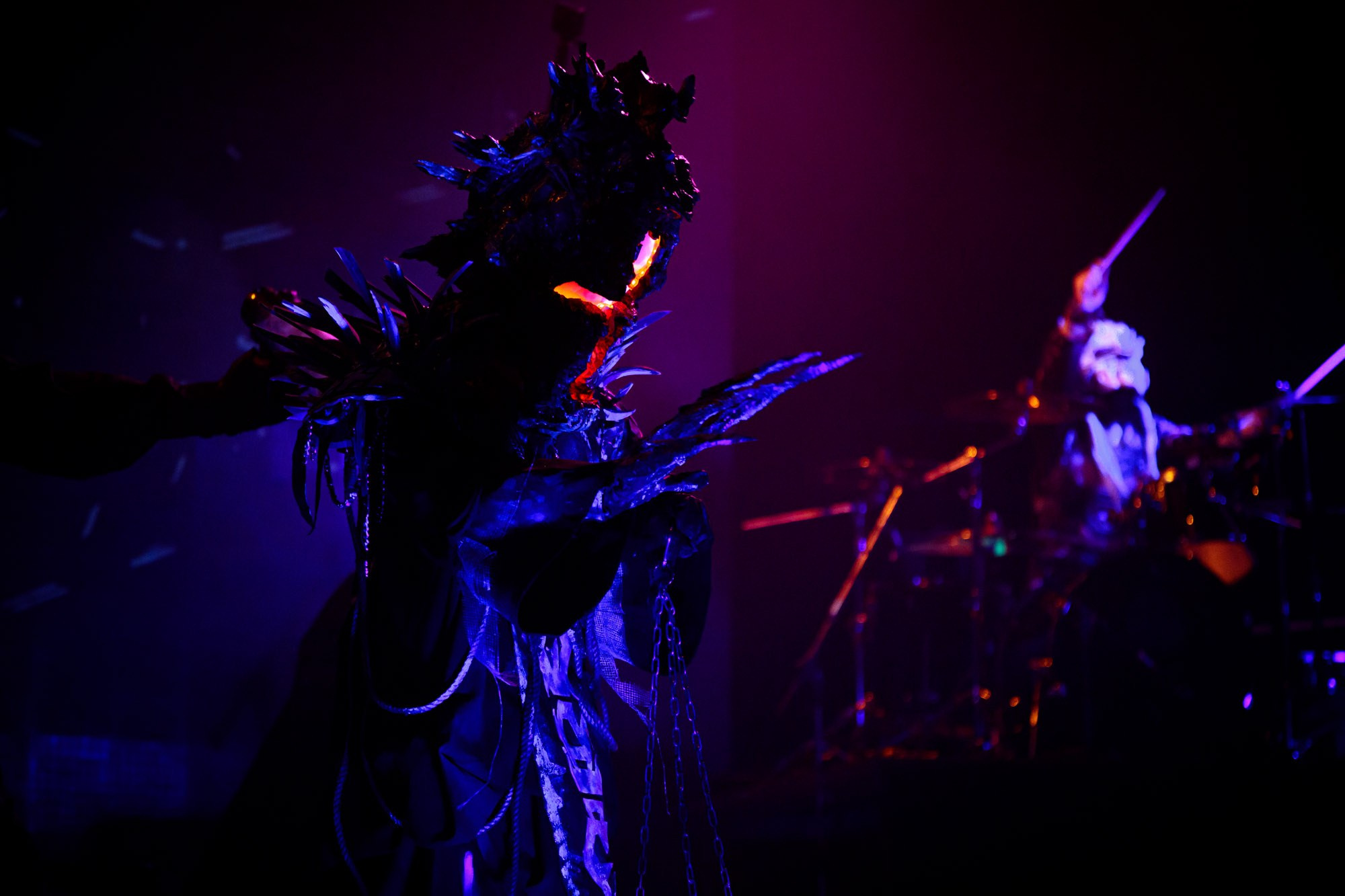 Biopsyhoz. Магия музыки в кадре: Концертная Фотография