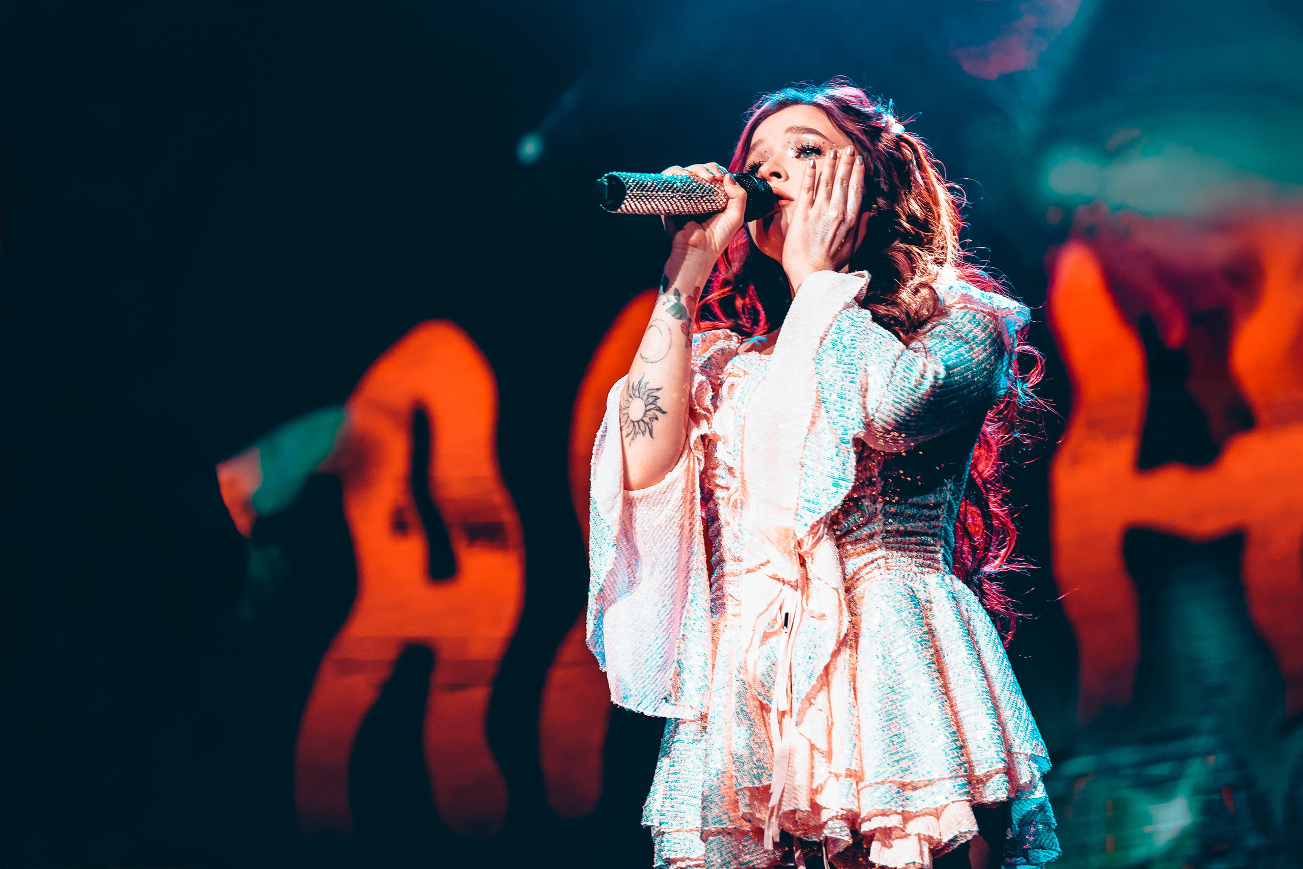 Алена Швец. Магия музыки в кадре: Концертная Фотография