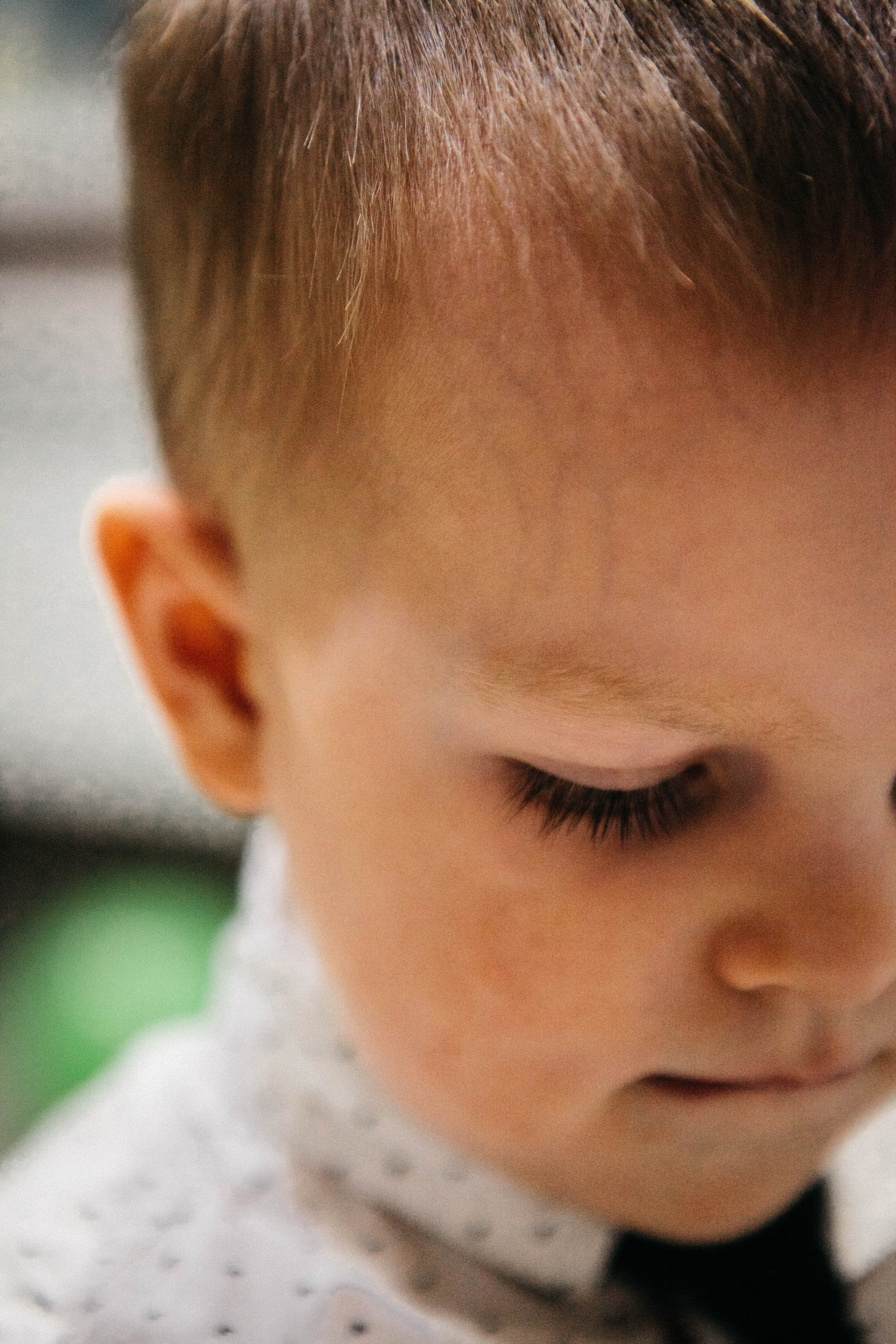 Лев. Фотограф Ольга Крукле