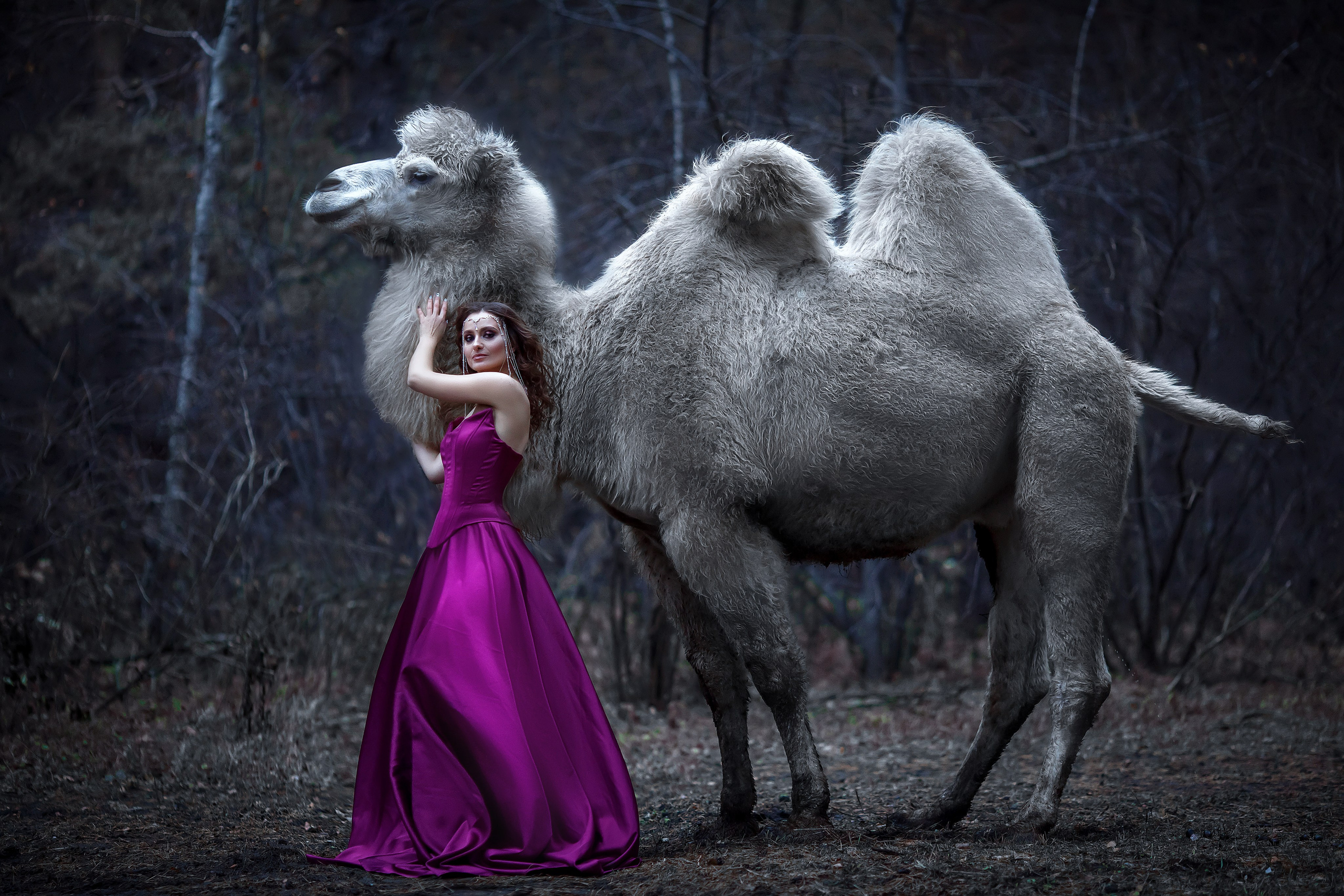 Ежевика, 42-46. Сказочный фотограф фотопроекты фототуры в Новосибирске и на Алтае