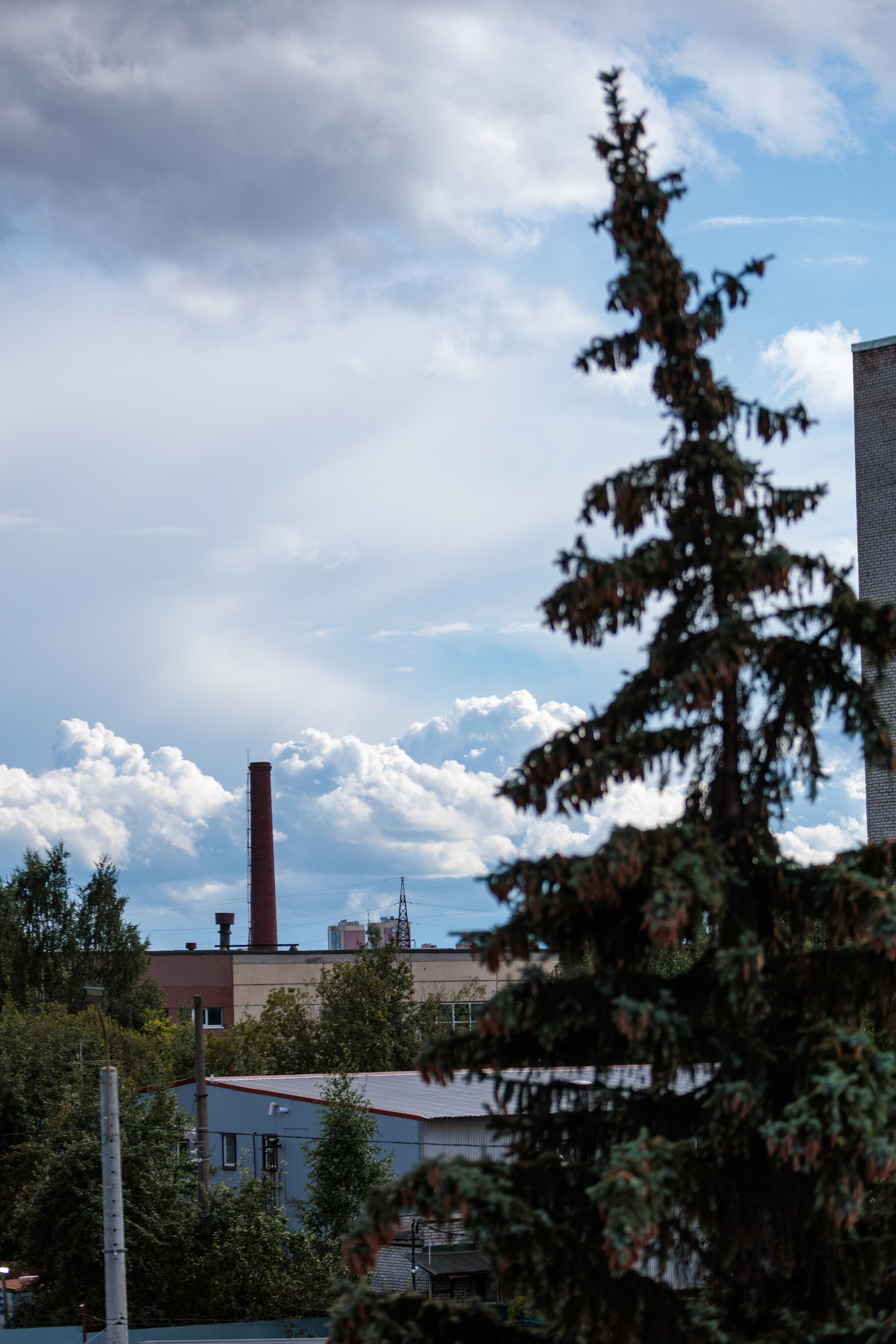 Авторская фотография и эстетика Петербурга | Роман Карбышев. Репортажный фотограф | Снимки за 3 дня | СПБ и ЛО