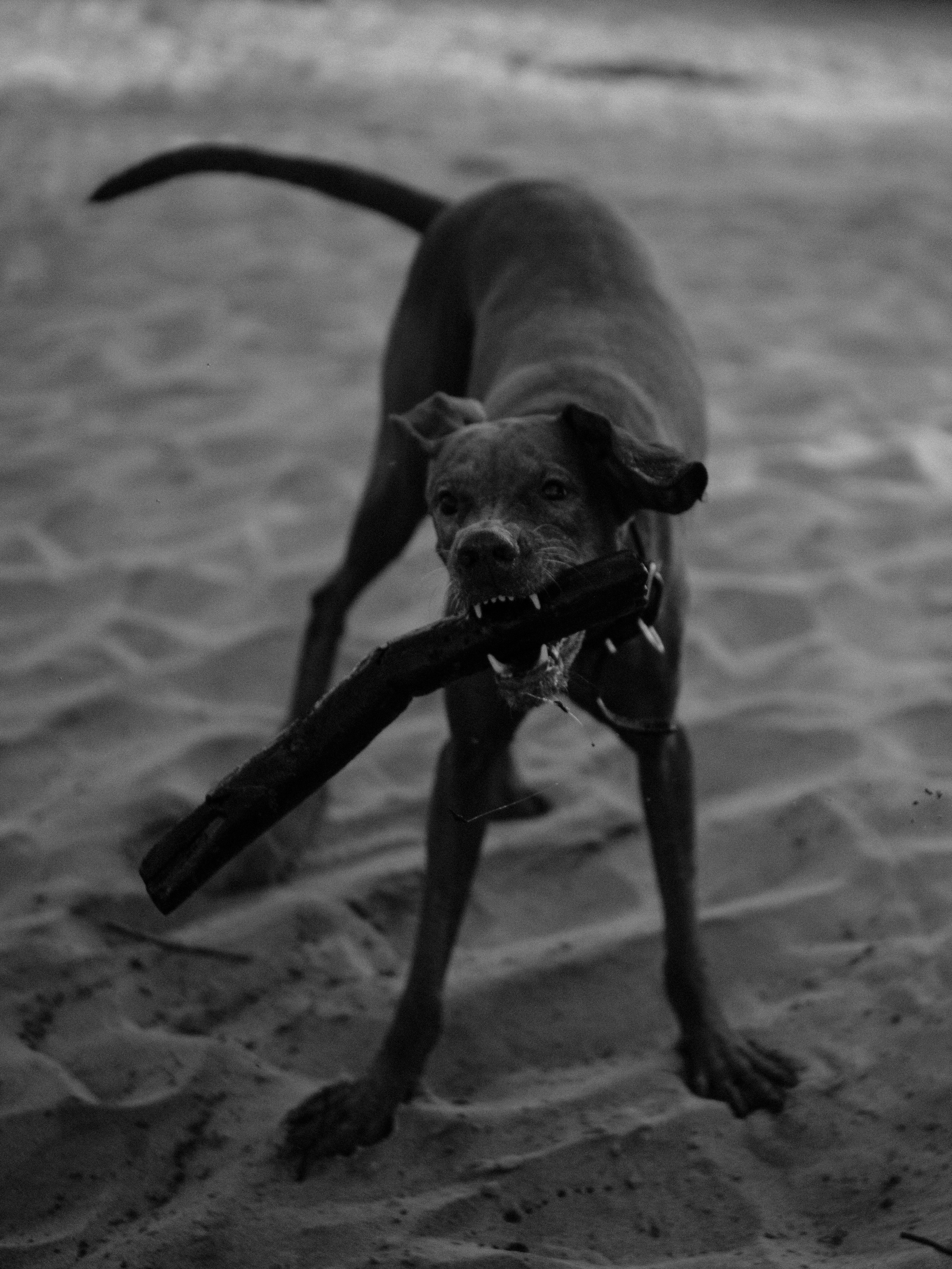 Под мостом. Фотограф и видеограф в Благовещенске и Санкт-Петербурге Мурыгина Мария