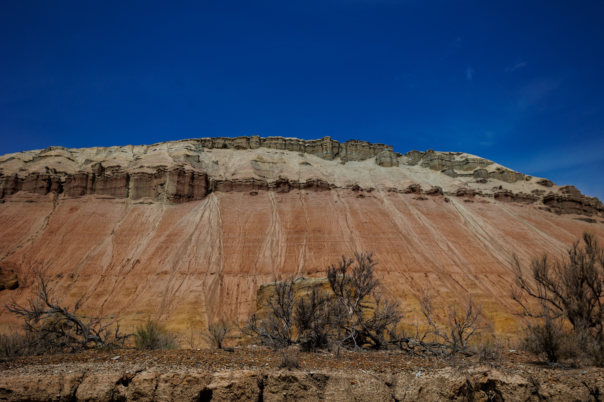 Алтын Эмель. Экскурсии и туры по Алматы