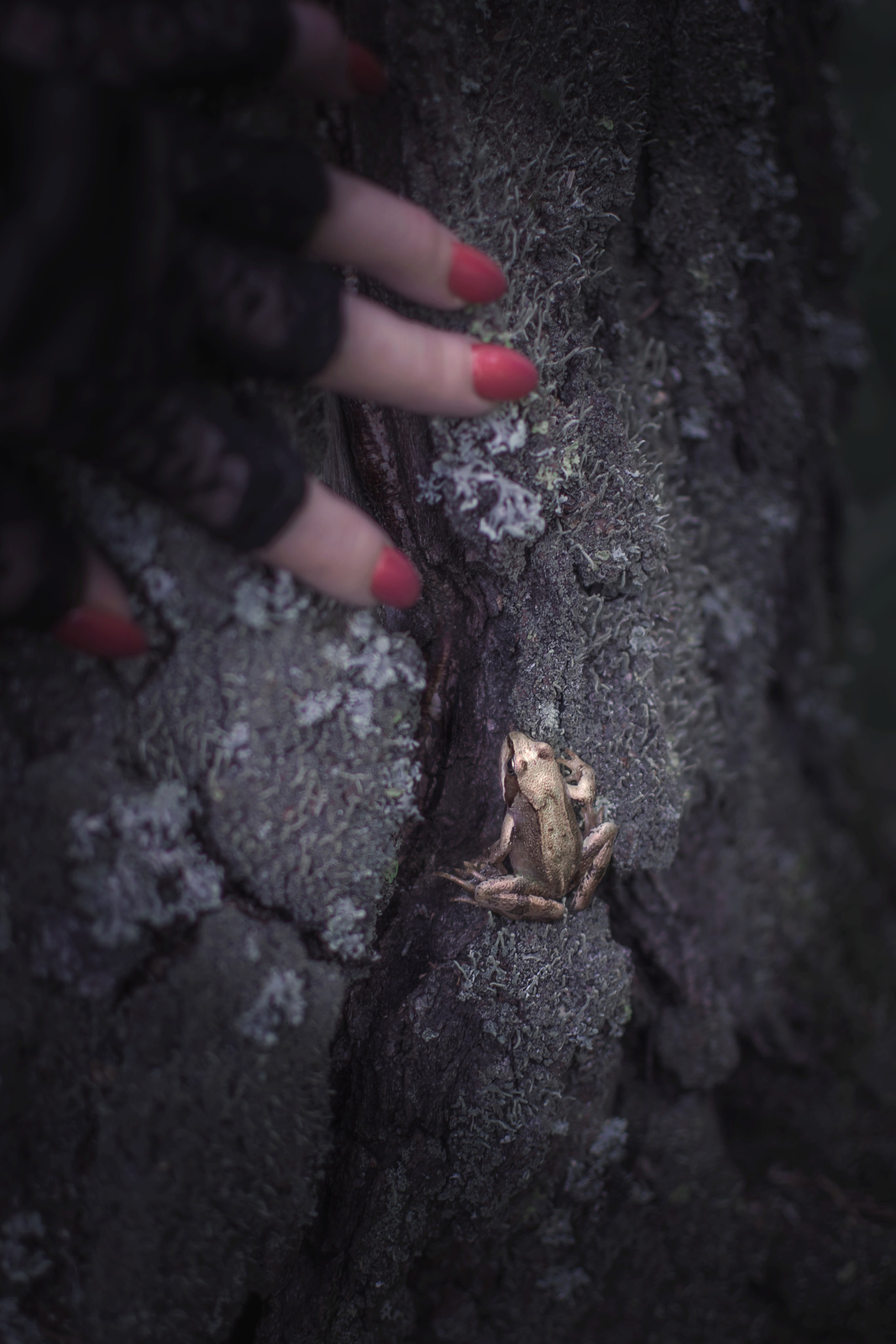 Мрачный лес. Детский и семейный фотограф в Волоколамске Ирина Шарова