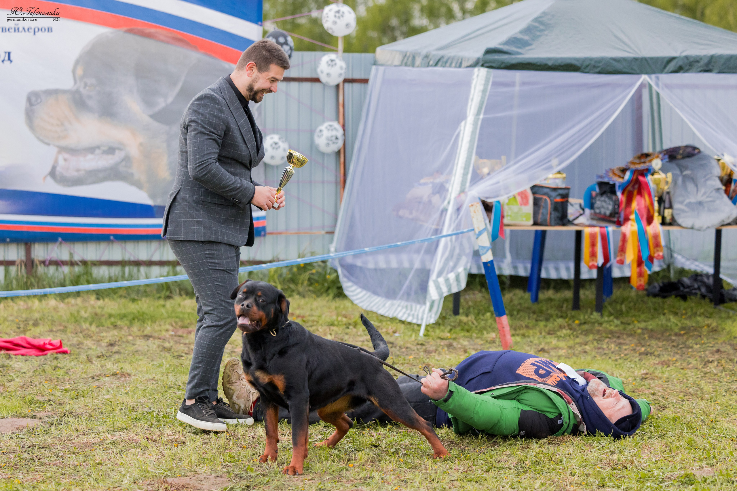 Нижний Новгород 11-12.05.2024 моно ротвейлеров. Фотограф-анималист Юлия Германика