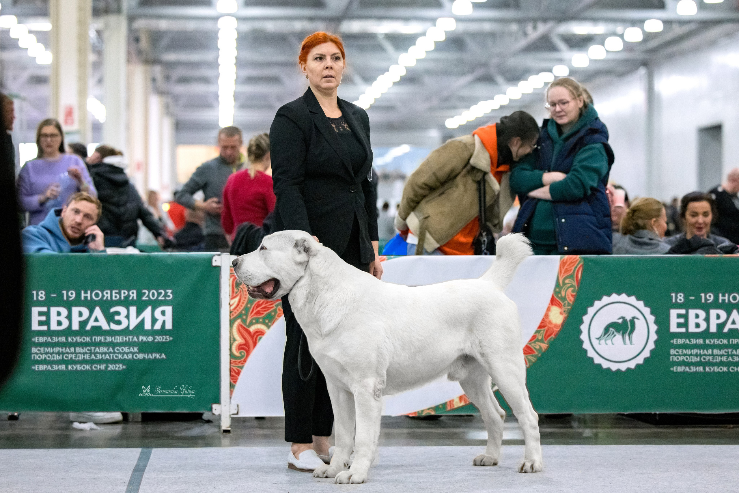 ЕВРАЗИЯ 18-19.11.2023. Фотограф-анималист Юлия Германика
