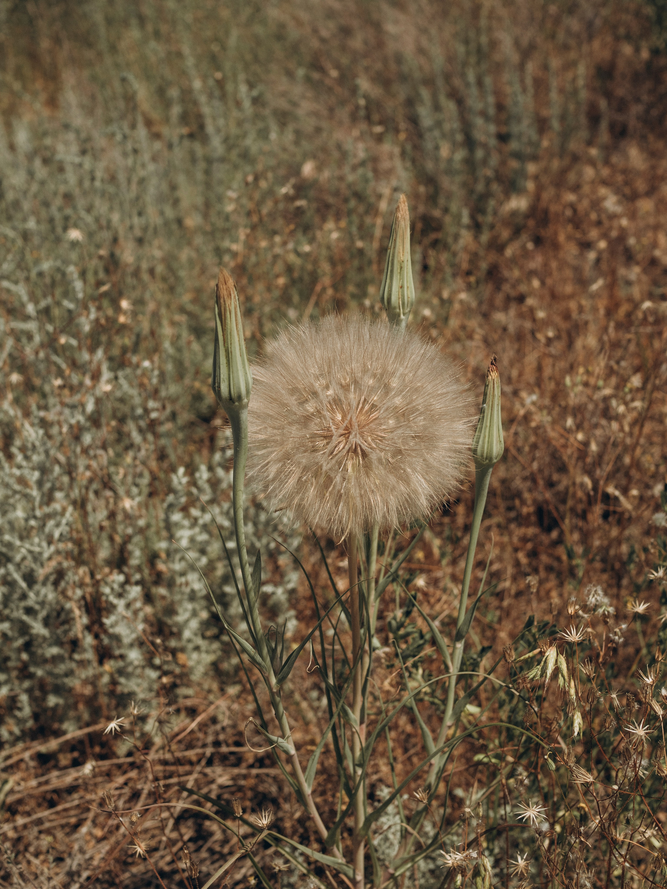 Fam3. Фотограф в Сортавала Карина Буглакова