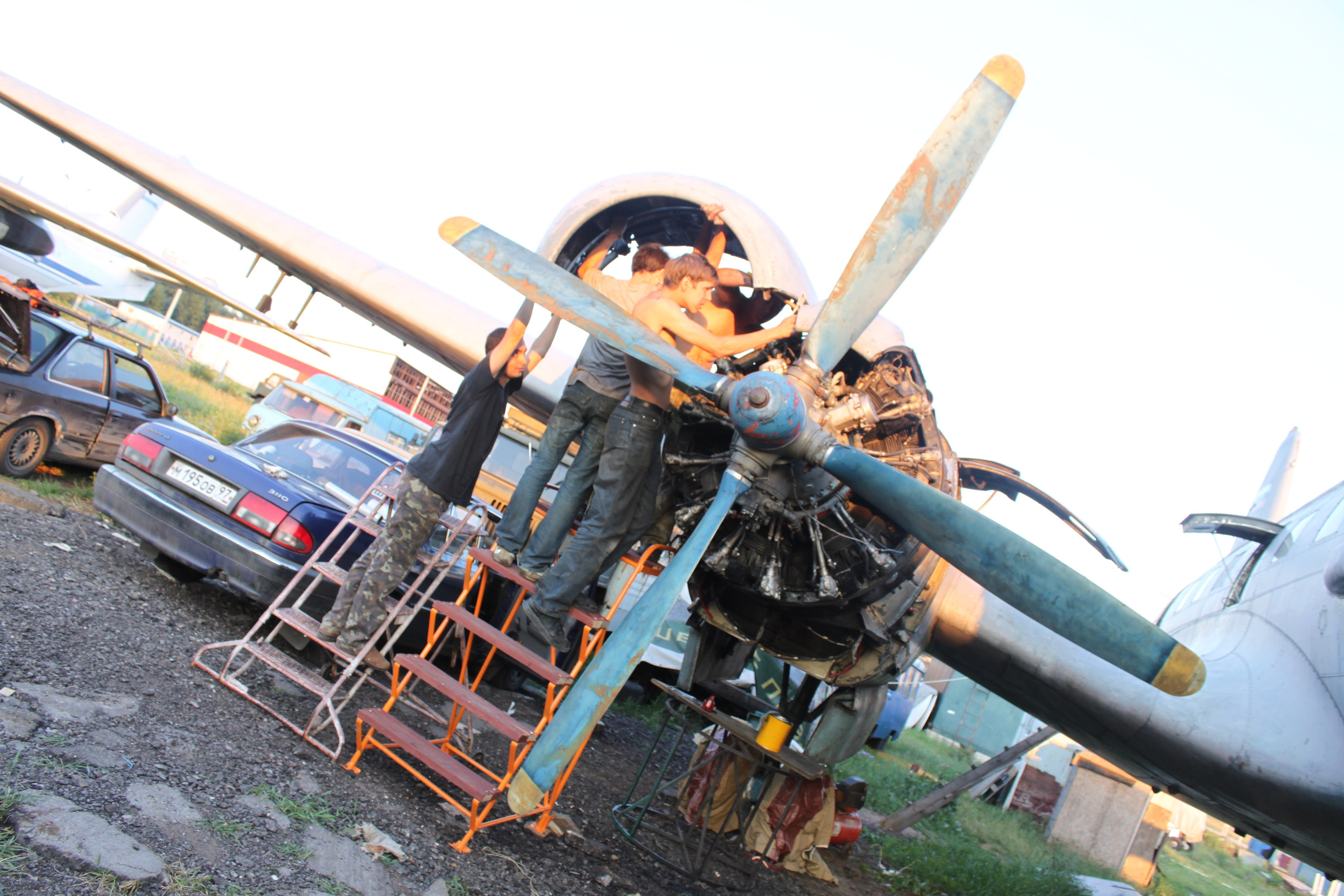 Ил-14Т «Голубая Мечта» работы в Тушино (2011 г.). Фотоальбом показывающий увлекательный мир авиации и мир медведей Андрея Иванова