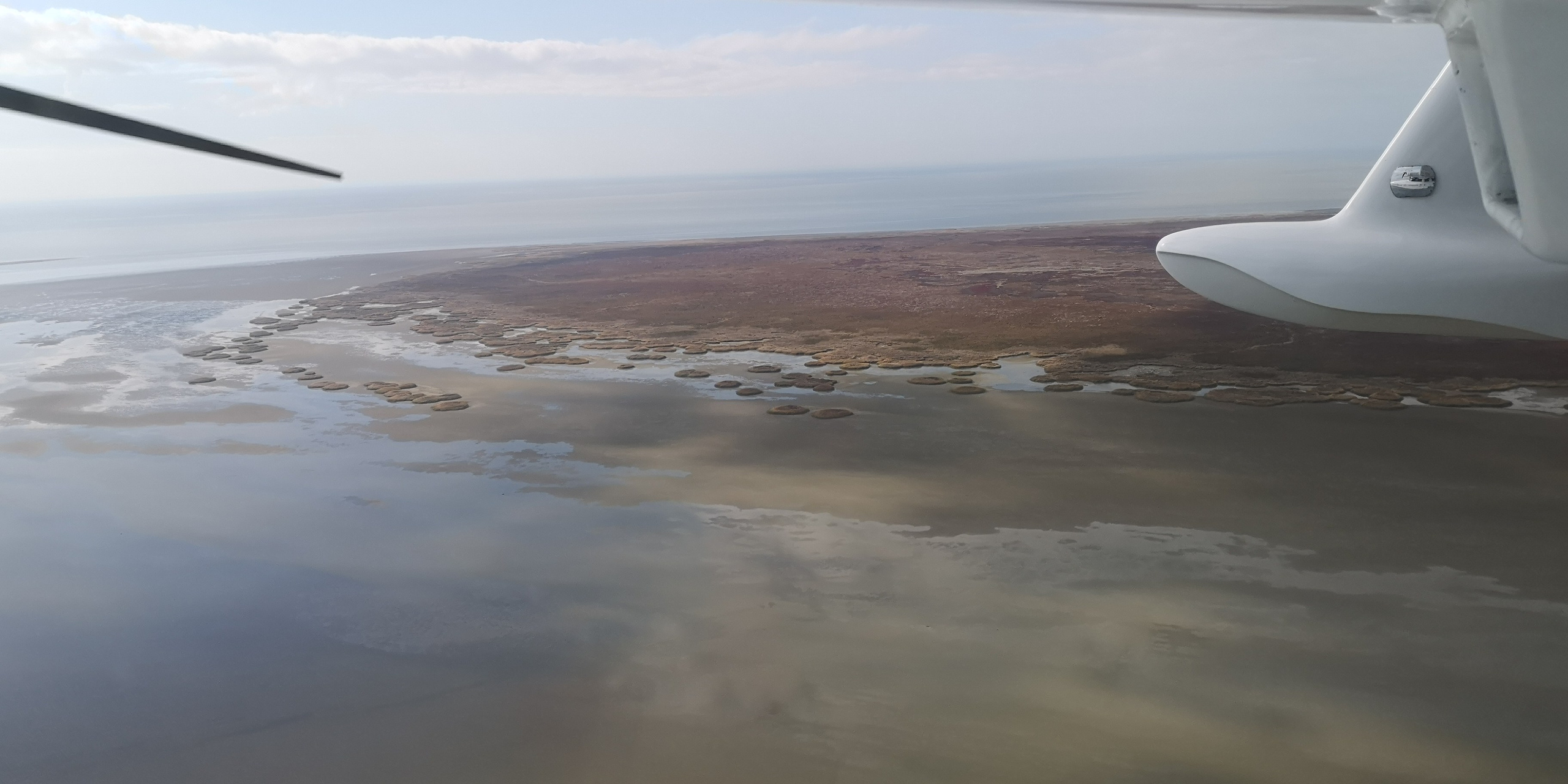 Каспийское море (наука на Ла-8) (2021 г.). Фотоальбом показывающий увлекательный мир авиации и мир медведей Андрея Иванова