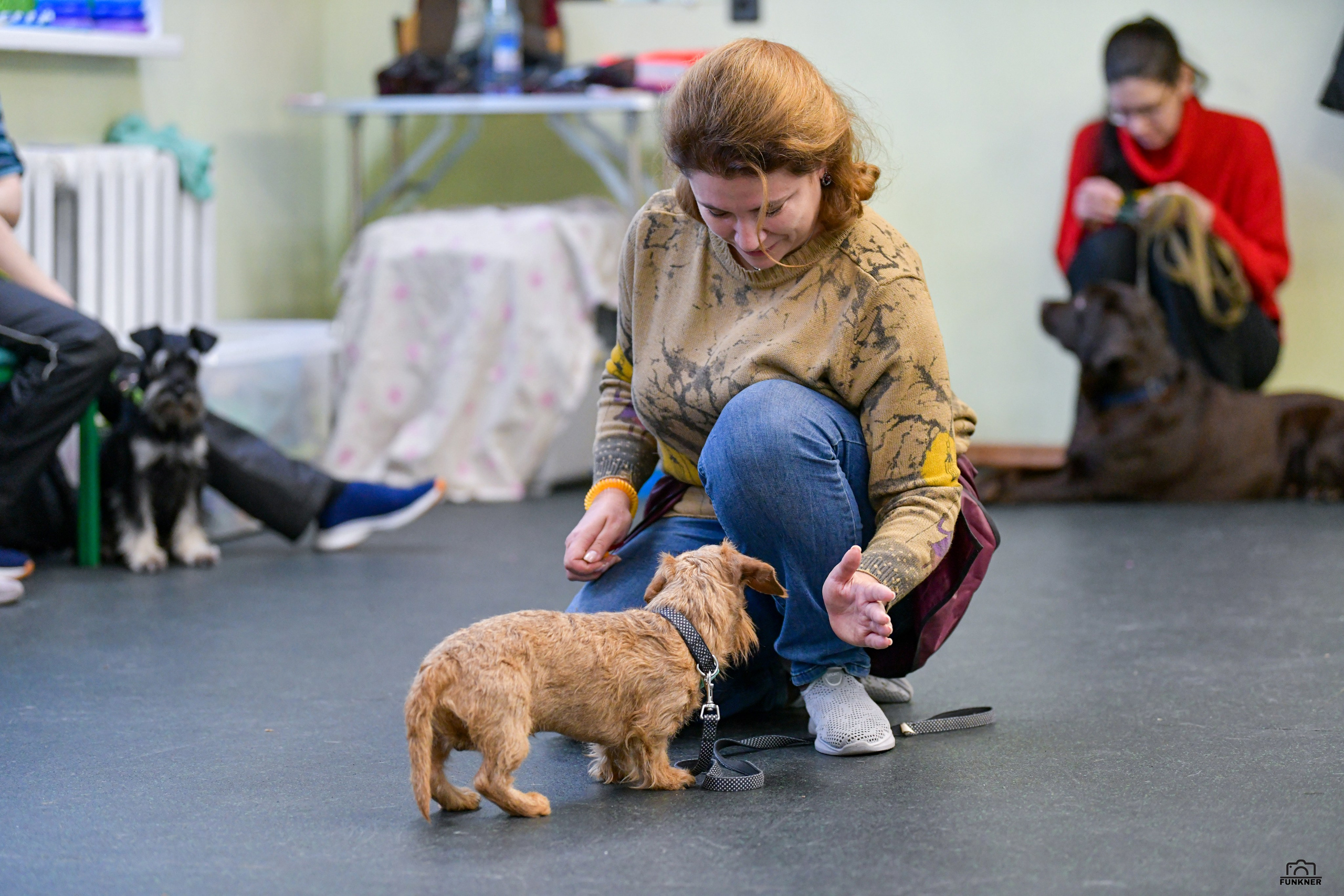 Кинологический клуб «Бодрый хвост». Свой взгляд через объектив