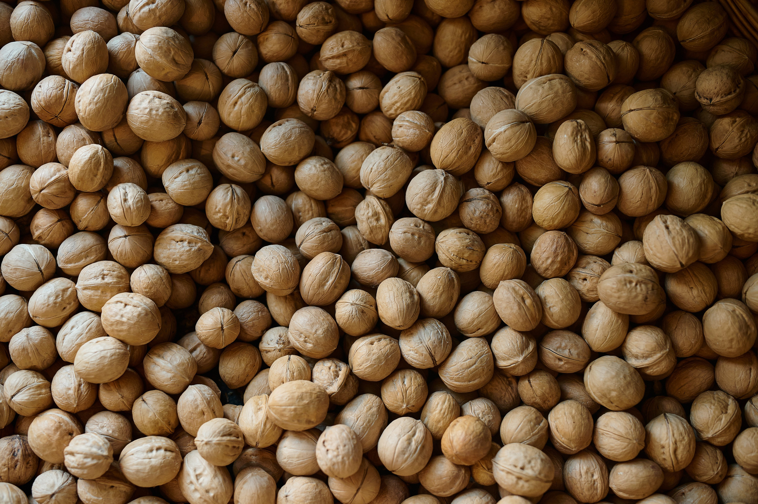 Грузинские истории. Коммерческий фотограф в Казани Ксения Добролюбова