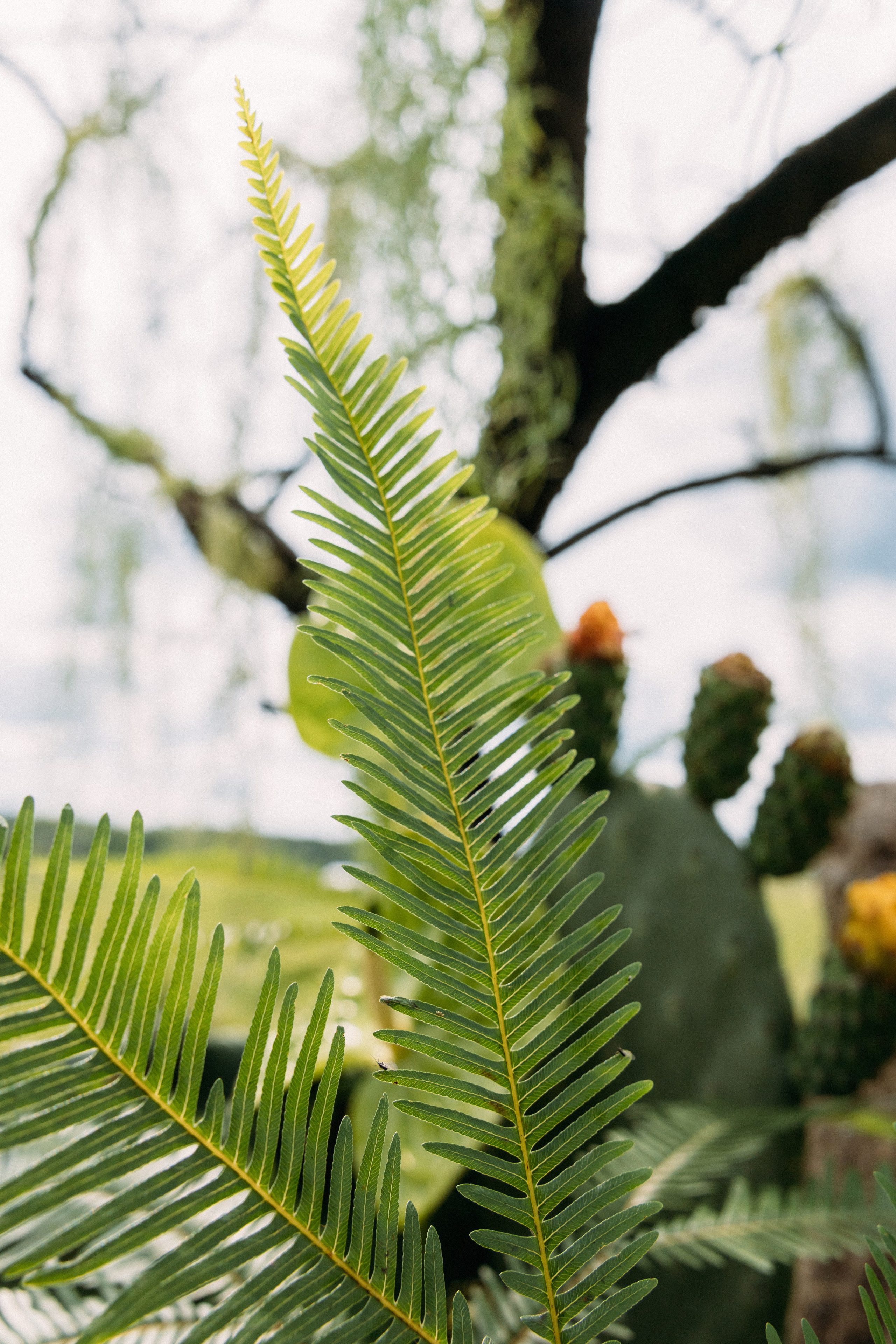 @avtors.agency. Свадебный и репортажный фотограф в Москве Владимир Сергеев | Naysaikolo
