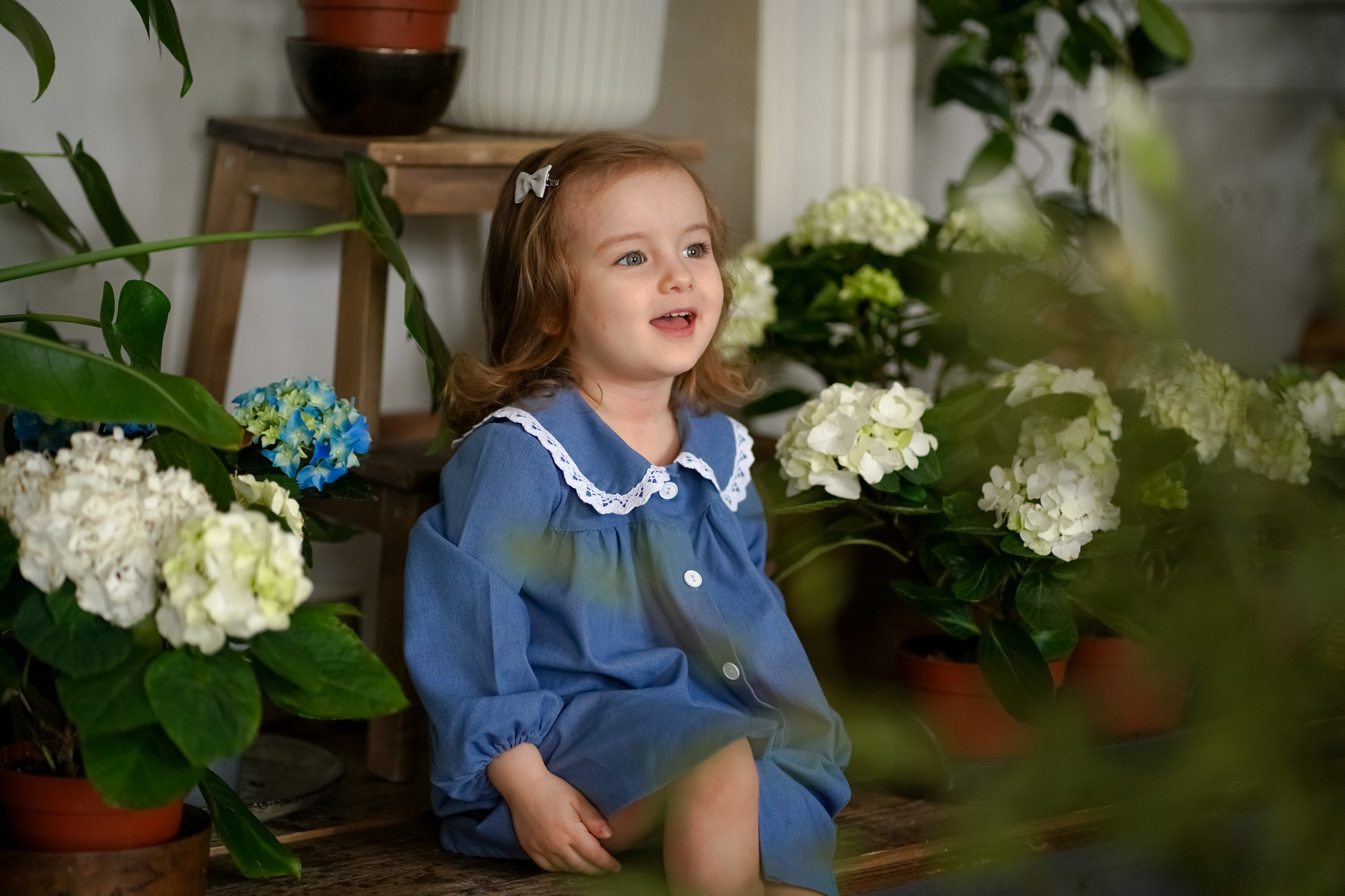 Маленький цветочек. Фотограф Татьяна Митрофанова