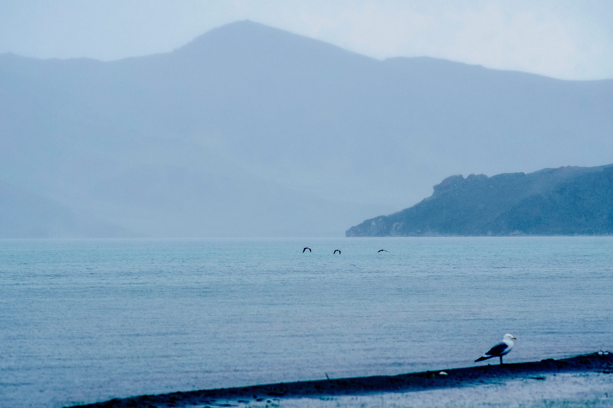 Mongolia landscape. Iraogo