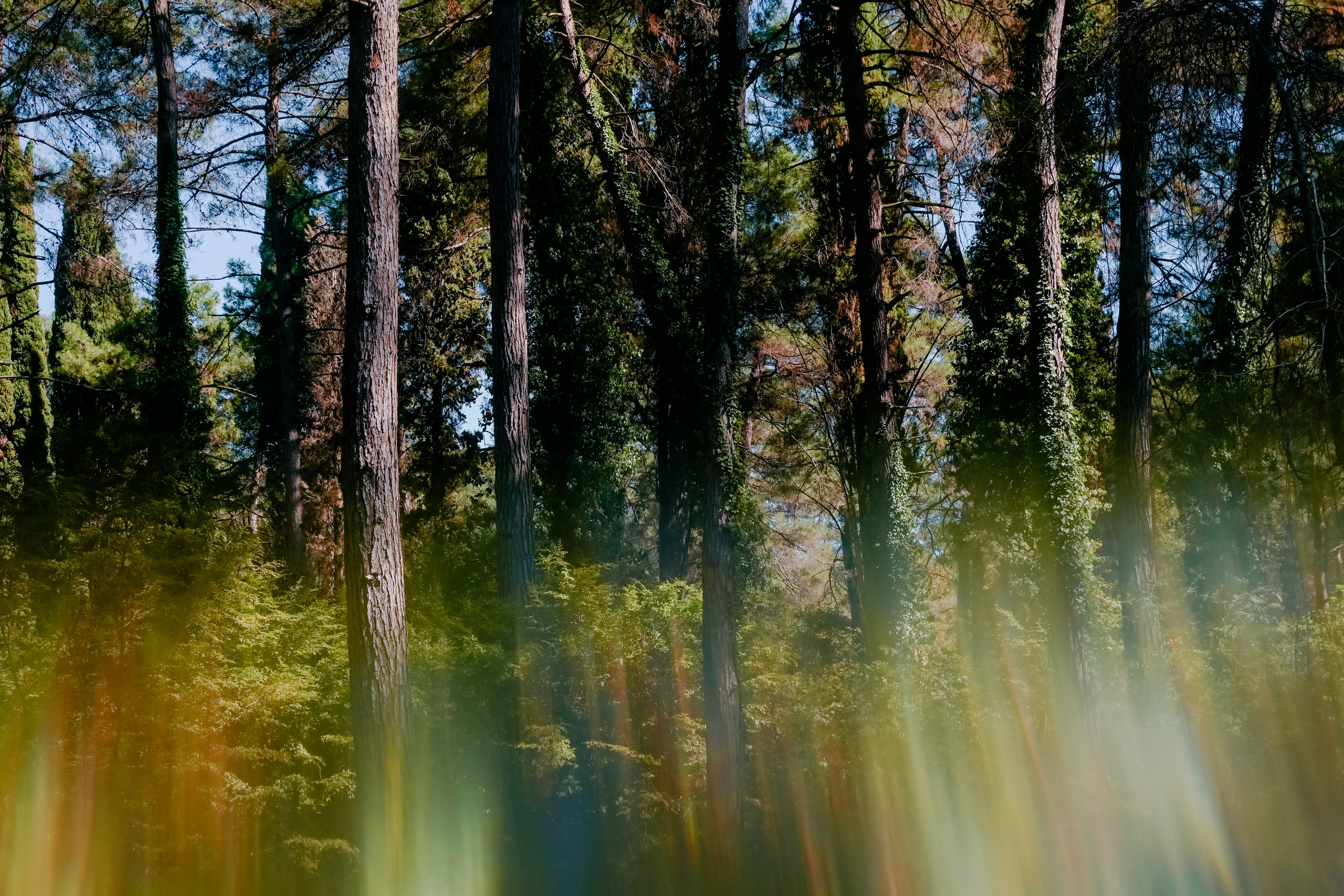 Абхазия. Iraogo