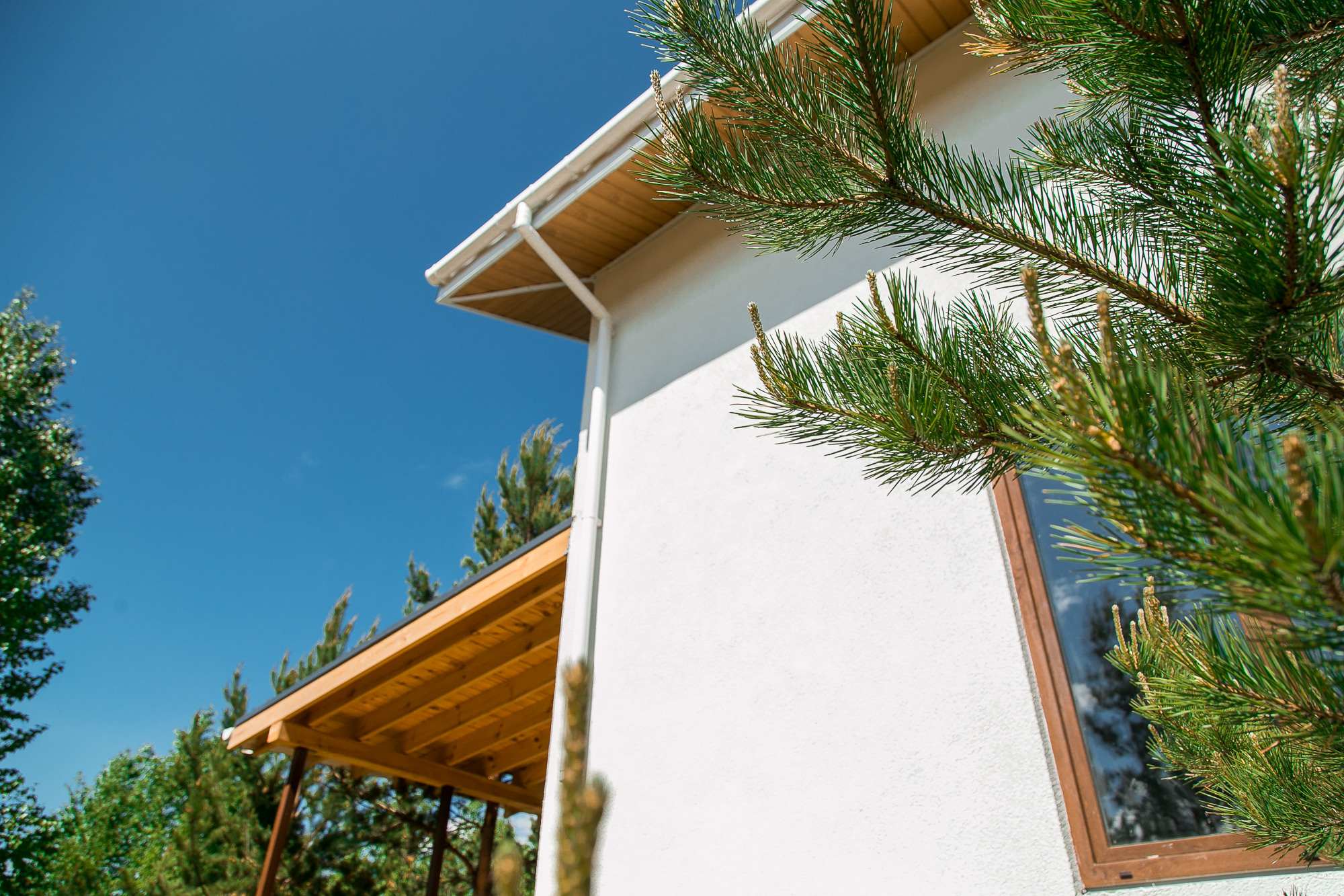 Открытие дачного поселка #Дачазаканикулы. Репортажный фотограф Макс Брагин