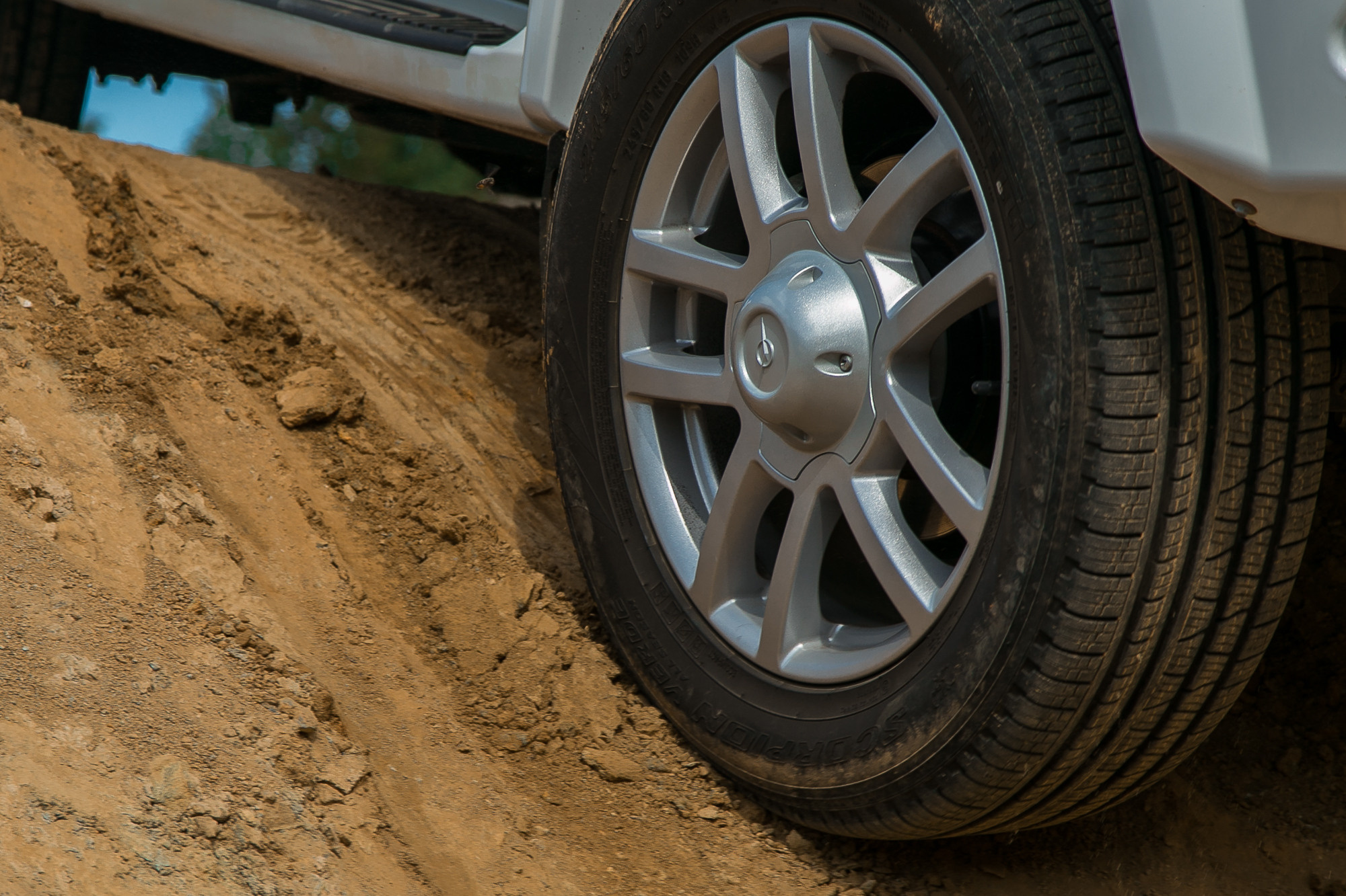 Открытие дачного поселка #Дачазаканикулы. Репортажный фотограф Макс Брагин