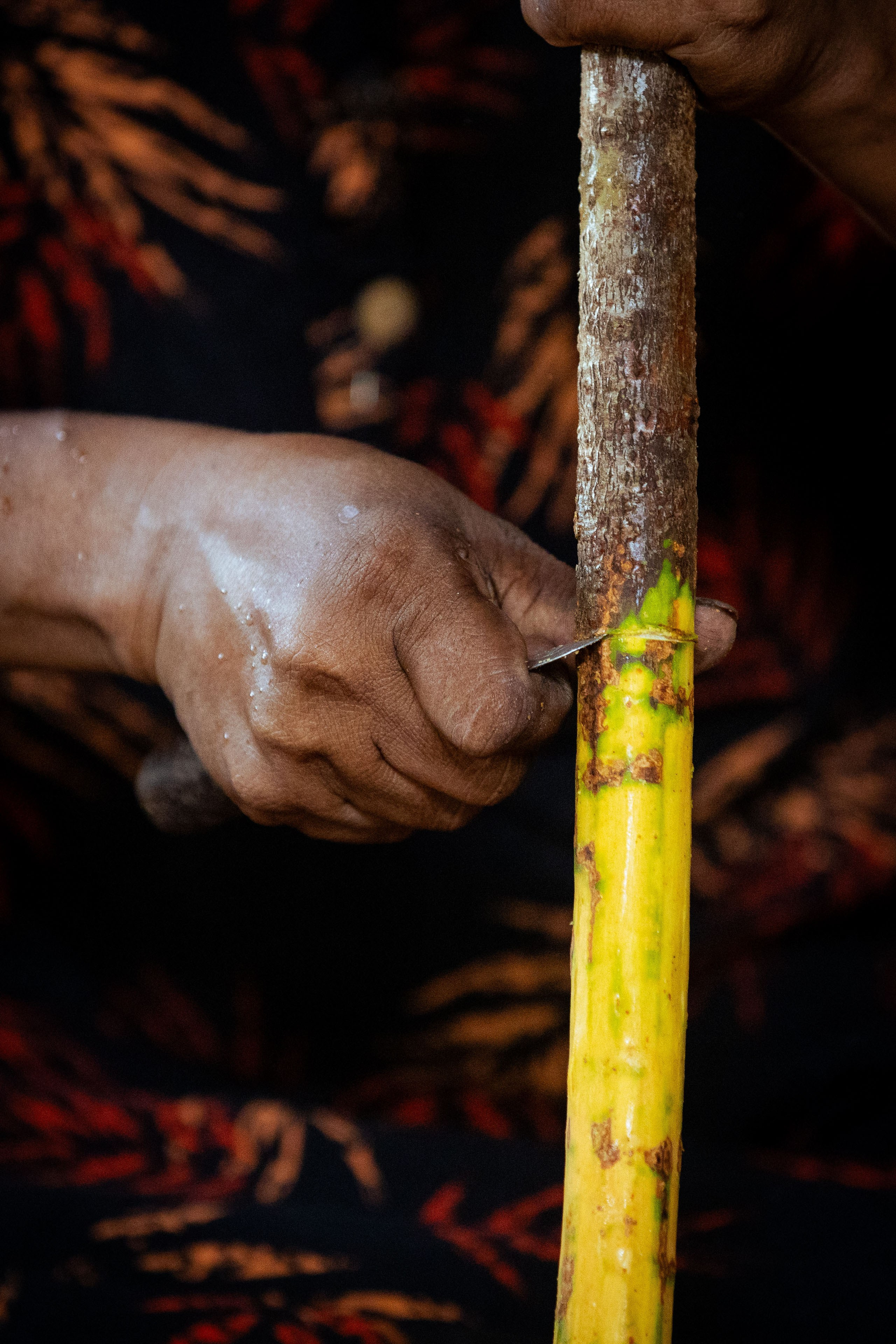 Шри-Ланка (весна 2024). Фотограф Виноградов Константин