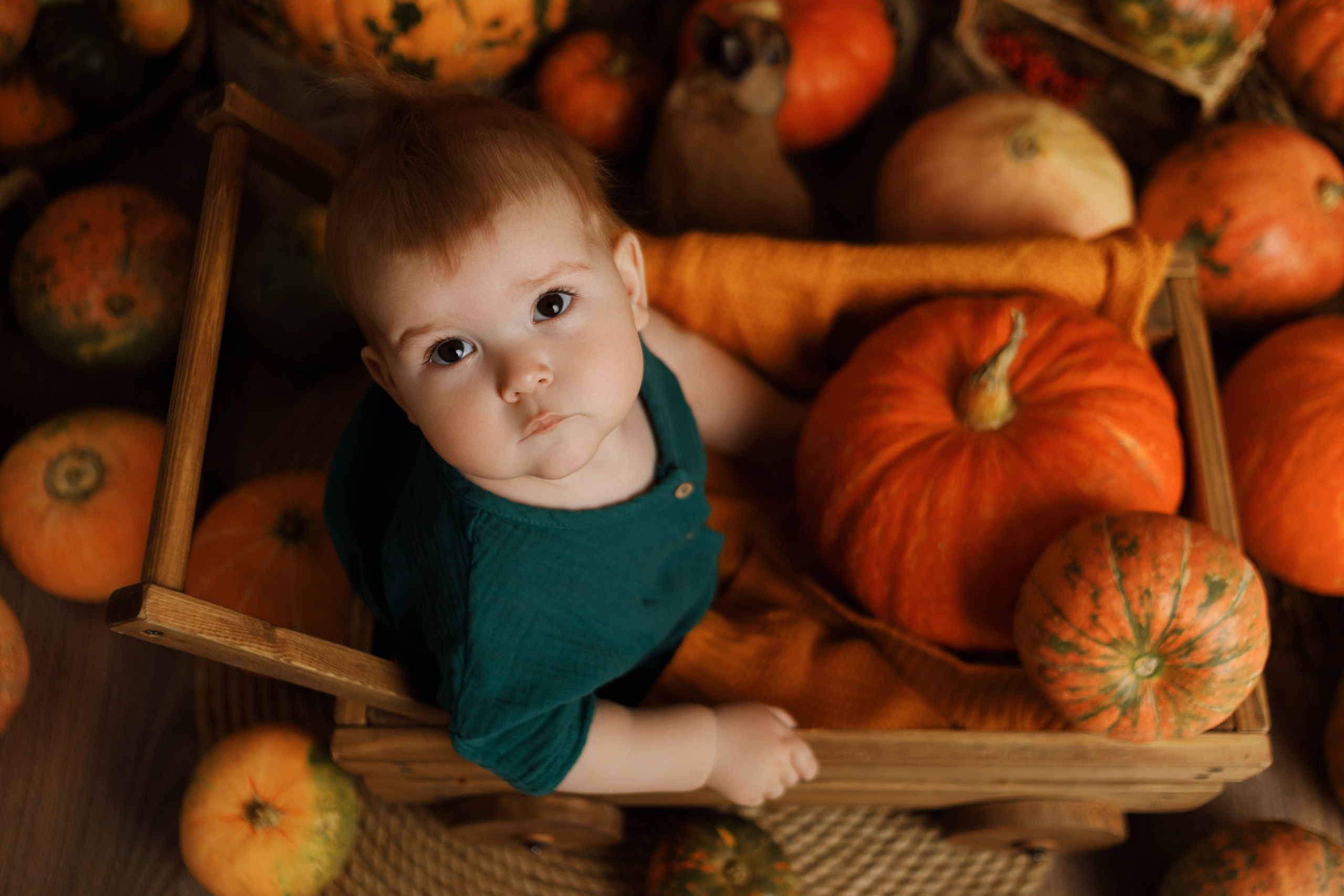 Фотопроекты. Фотограф новорождённых семейный фотограф Томск Елена Каплина