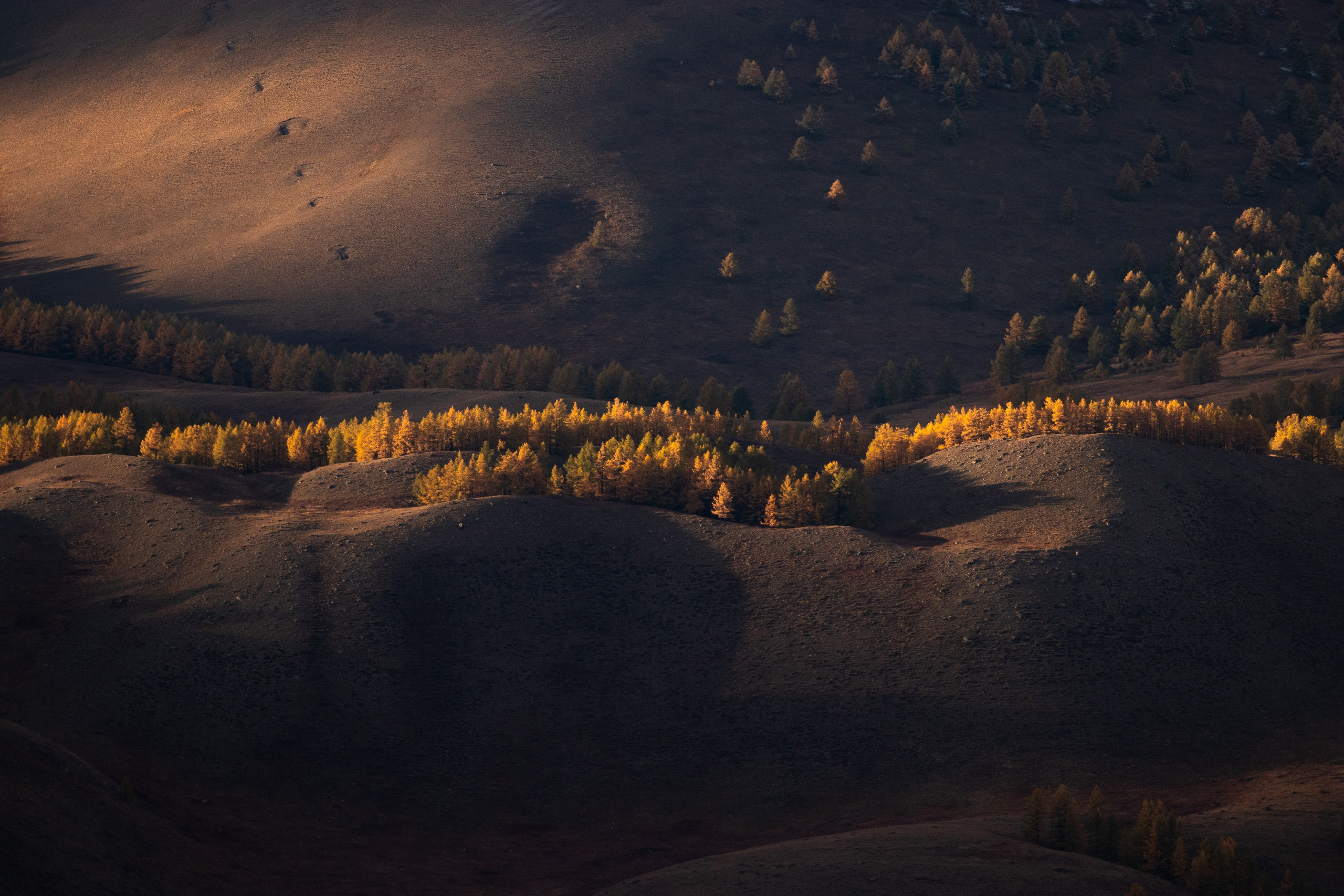 Алтай. Фотография Евгений