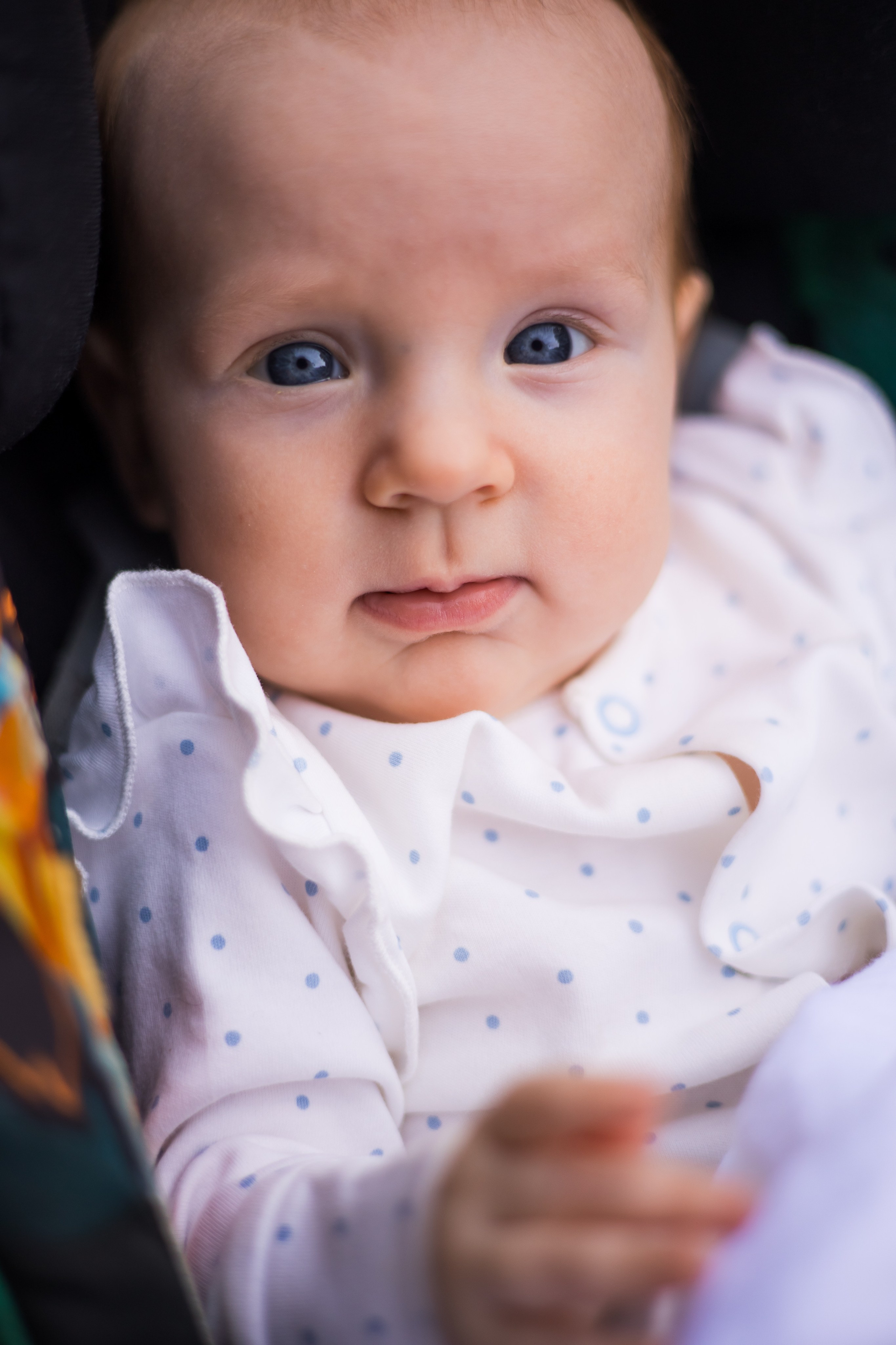 Анастасия и Миа. Фотограф Печерская Анастасия