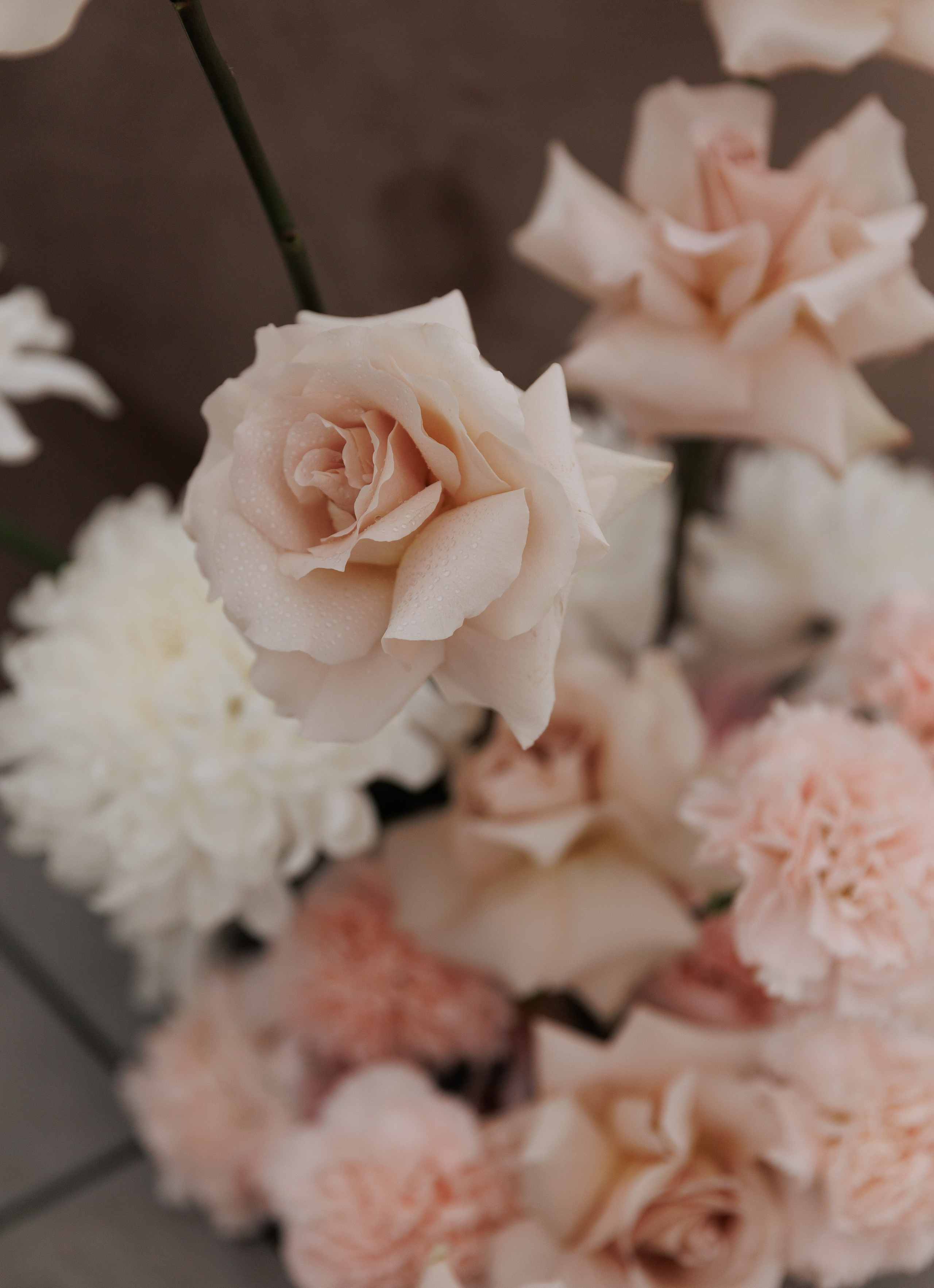 Артем и Юлия. Фотограф Краснодар Юлия Бураченко Свадьбы Репортаж Семейные Индивидуальные съемки