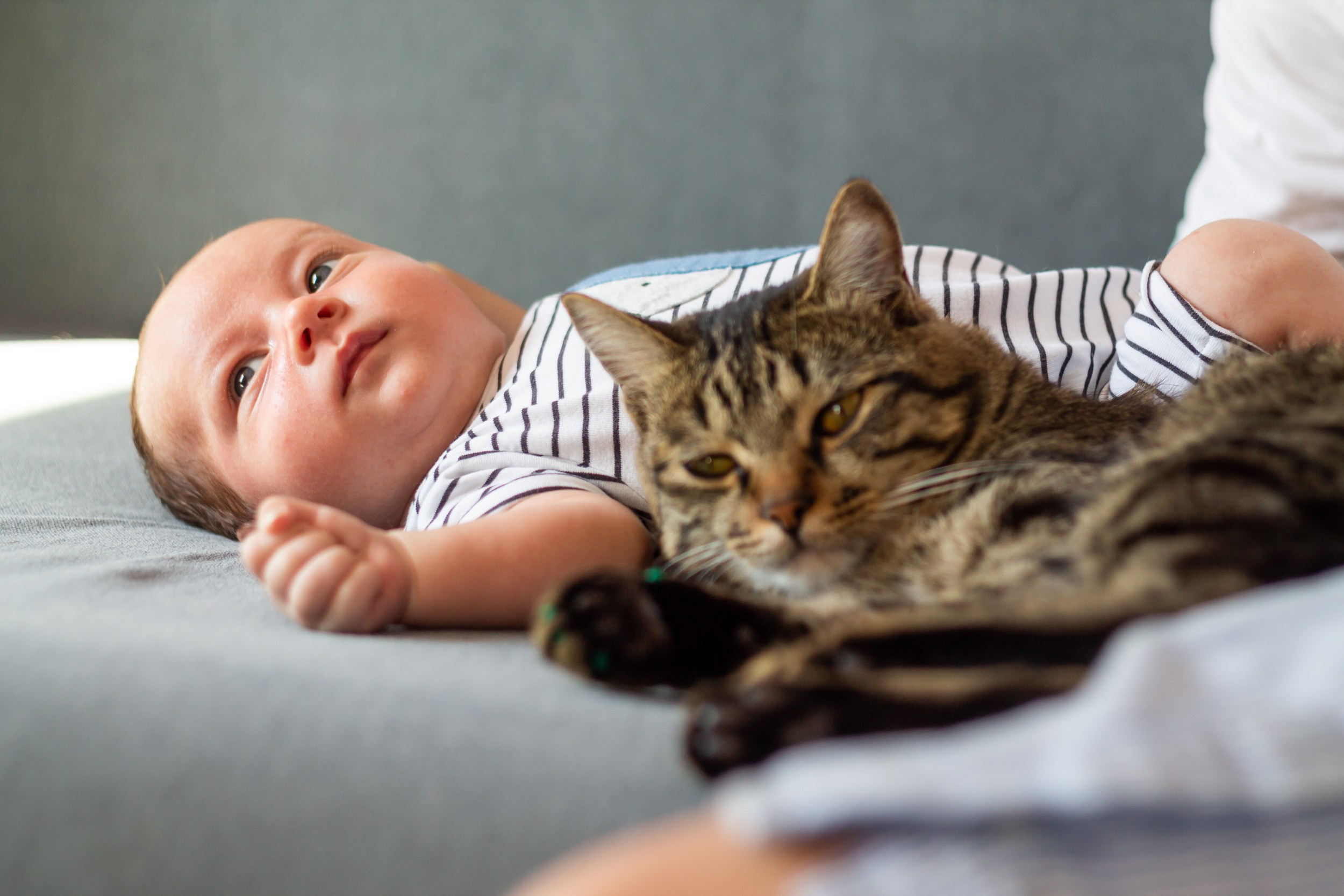 Линдси. Фотограф в Новосибирске Евгений Маслов