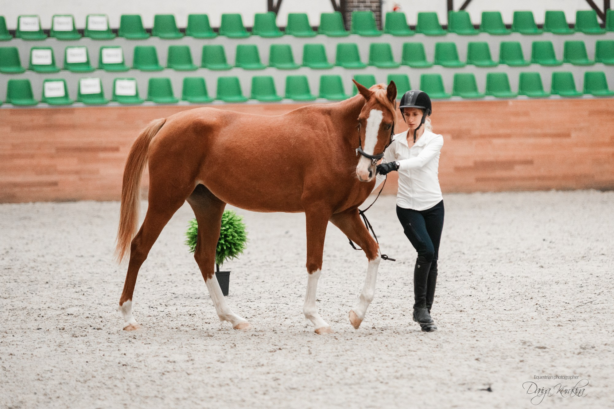 8-я международная выставка Конная Россия. Конный фотограф Куракина Дарья • Фотосессии с лошадьми