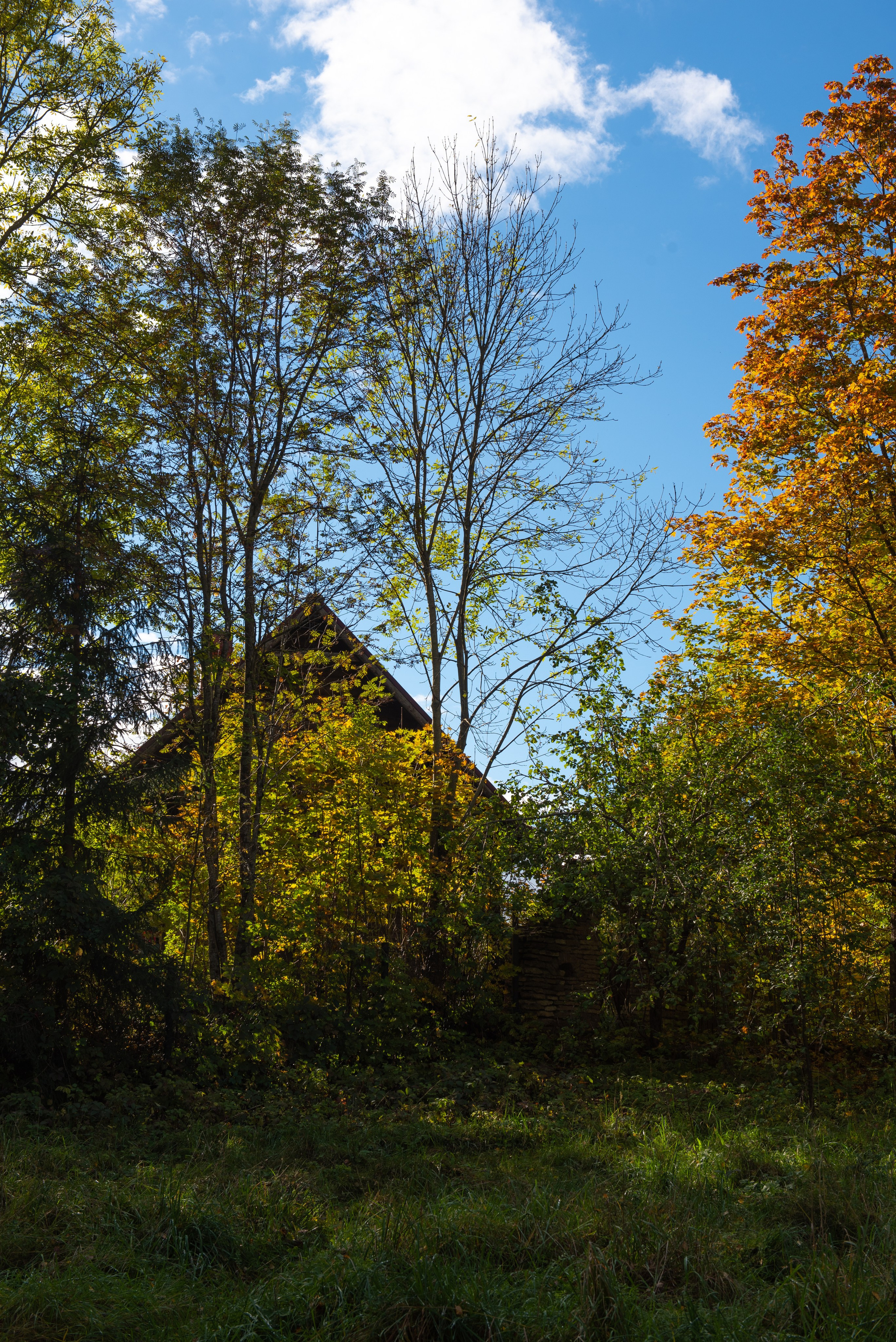 Изборск. Портретный и архитектурный фотограф в Москве и Санкт-Петербурге
