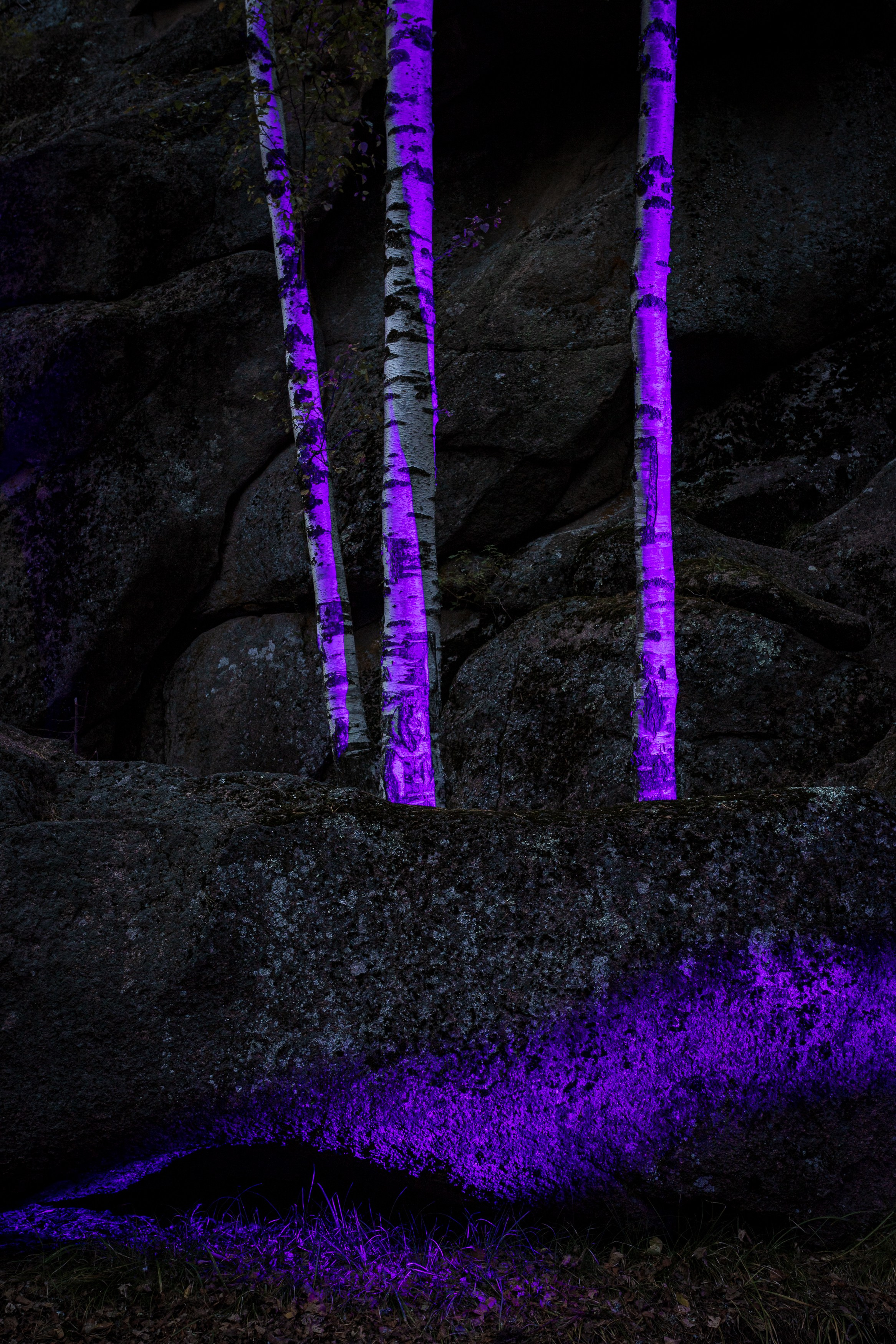 Серия «Нарисованные „Столбы“». Фотограф в Москве Татьяна Макотра