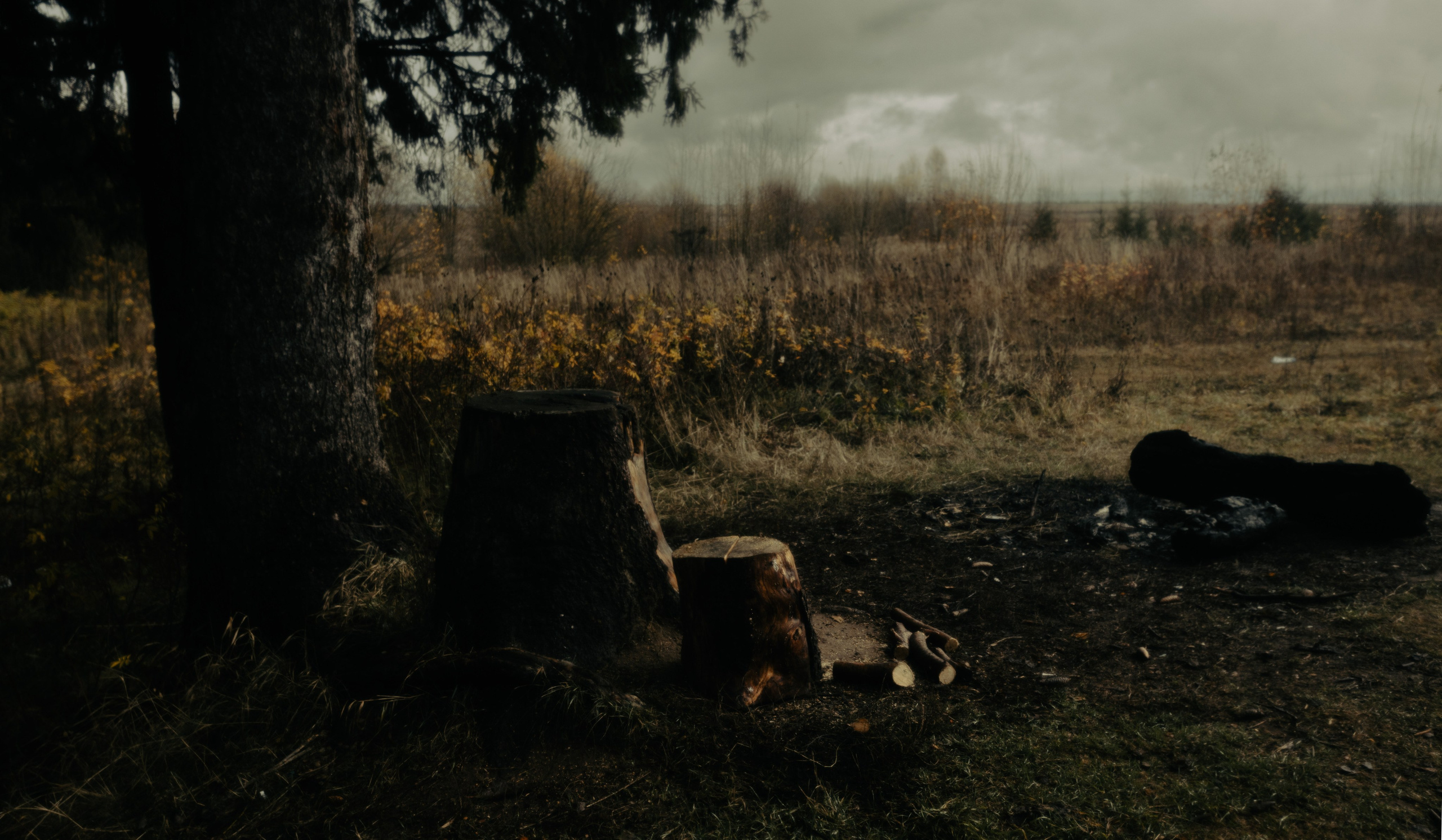 Пейзаж. Фотограф Александр Тихонов