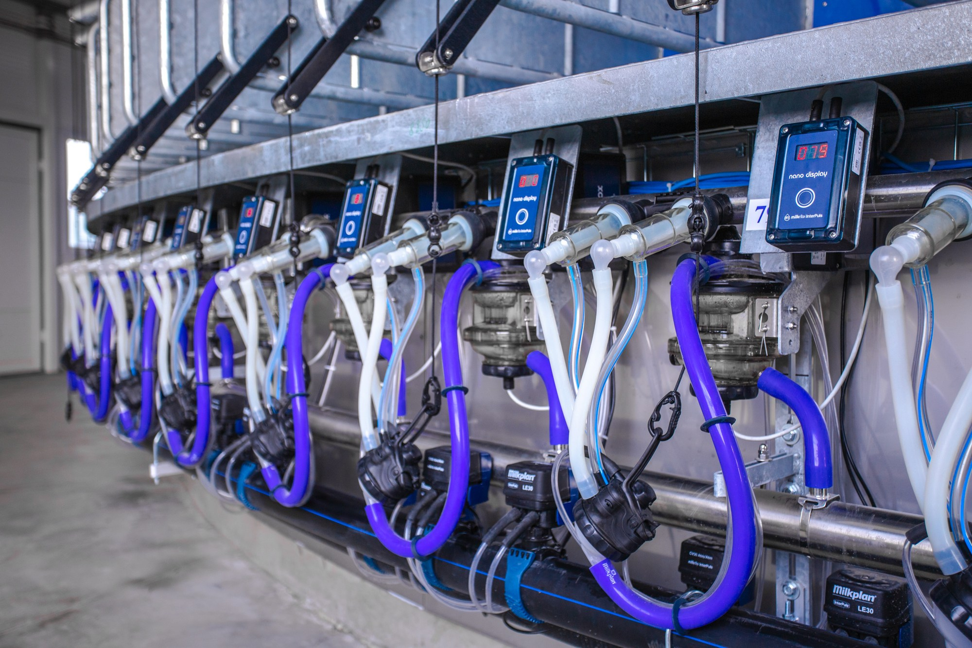 Открытие карусели для дойки скота. Репортажный, промышленный и маркетплейс-фотограф Дмитрий Чернат