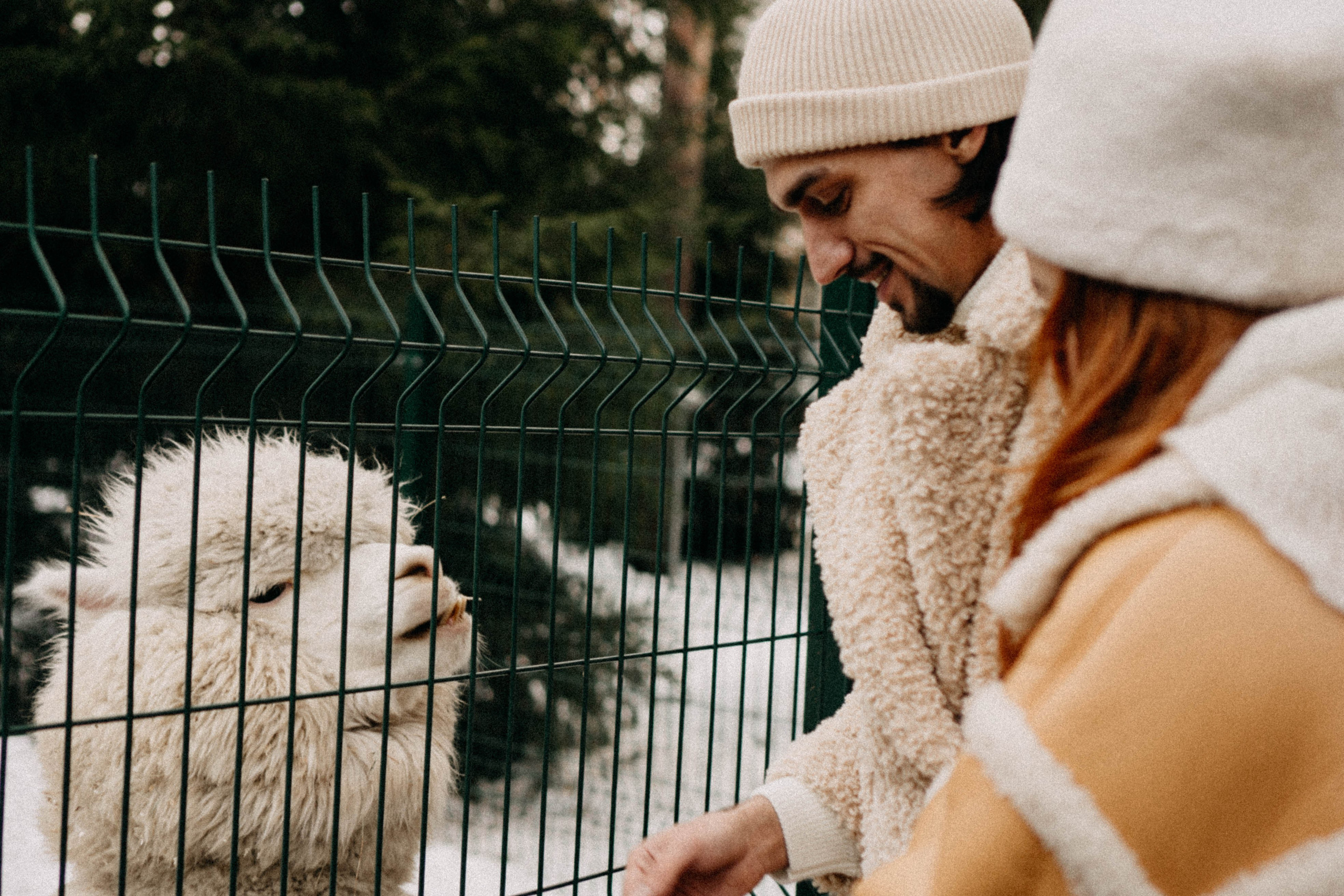 Каток. Профессиональный фотограф, Санкт-Петербург — Виктория Богомолова