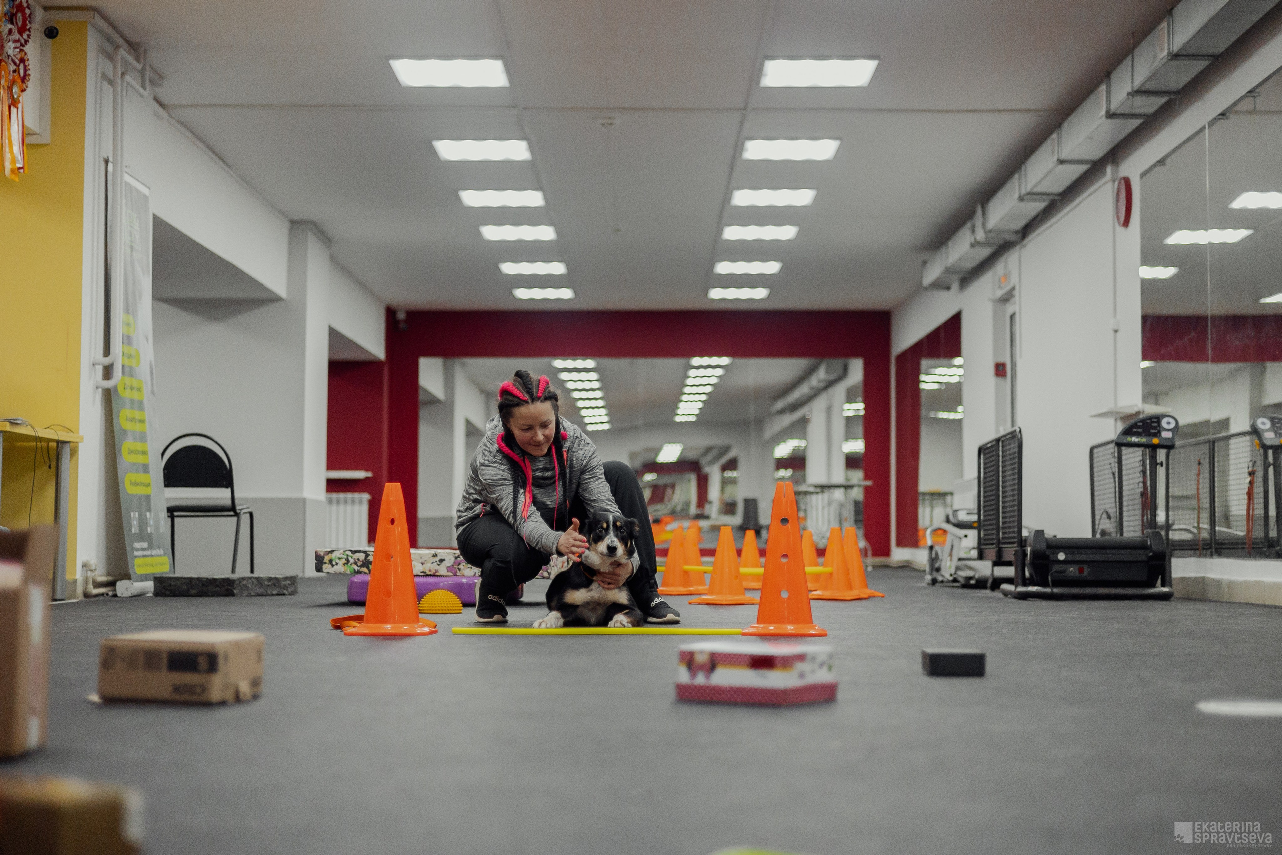 NoseWork. Фотограф Анималист Екатерина Справцева в Нижнем Новгороде