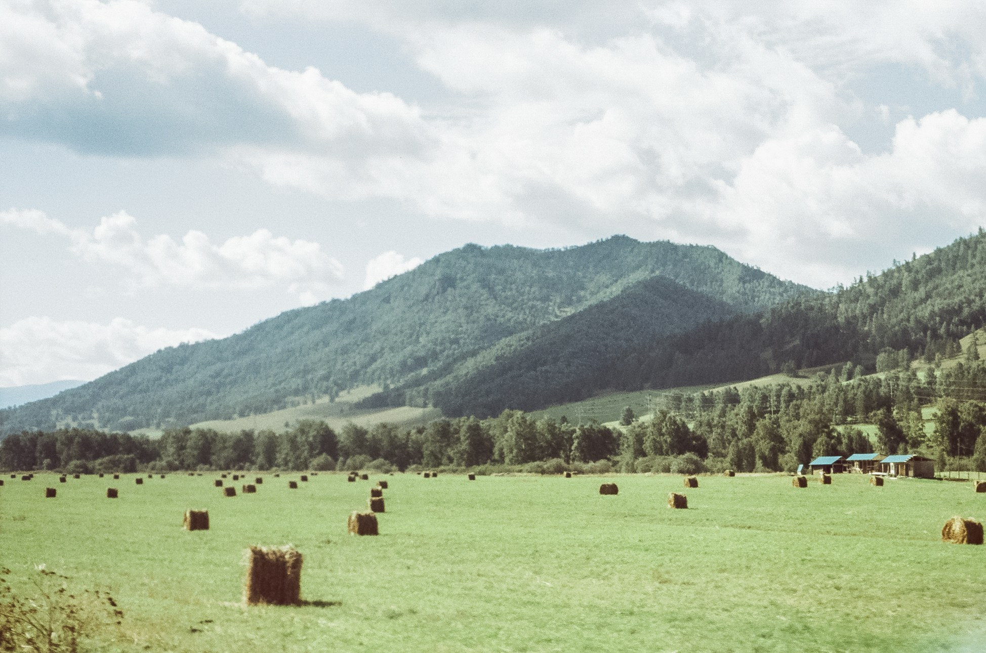 Алтай 08-09/2024