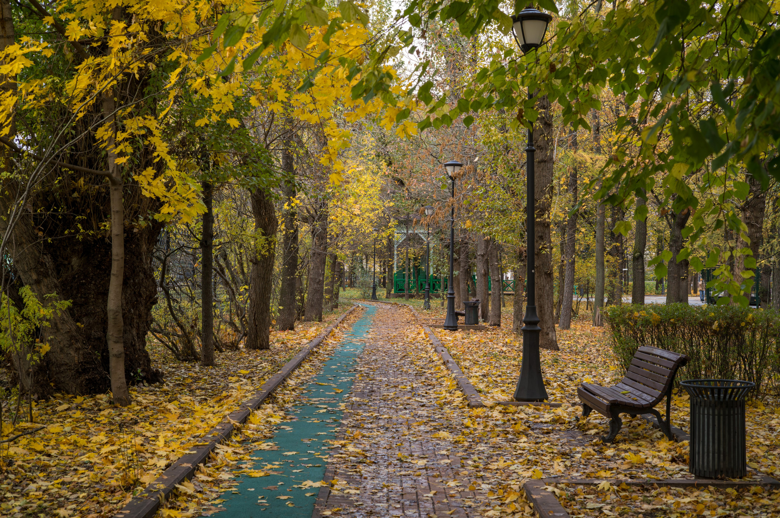 Осенний вид в сквере Девичьего поля в Москве