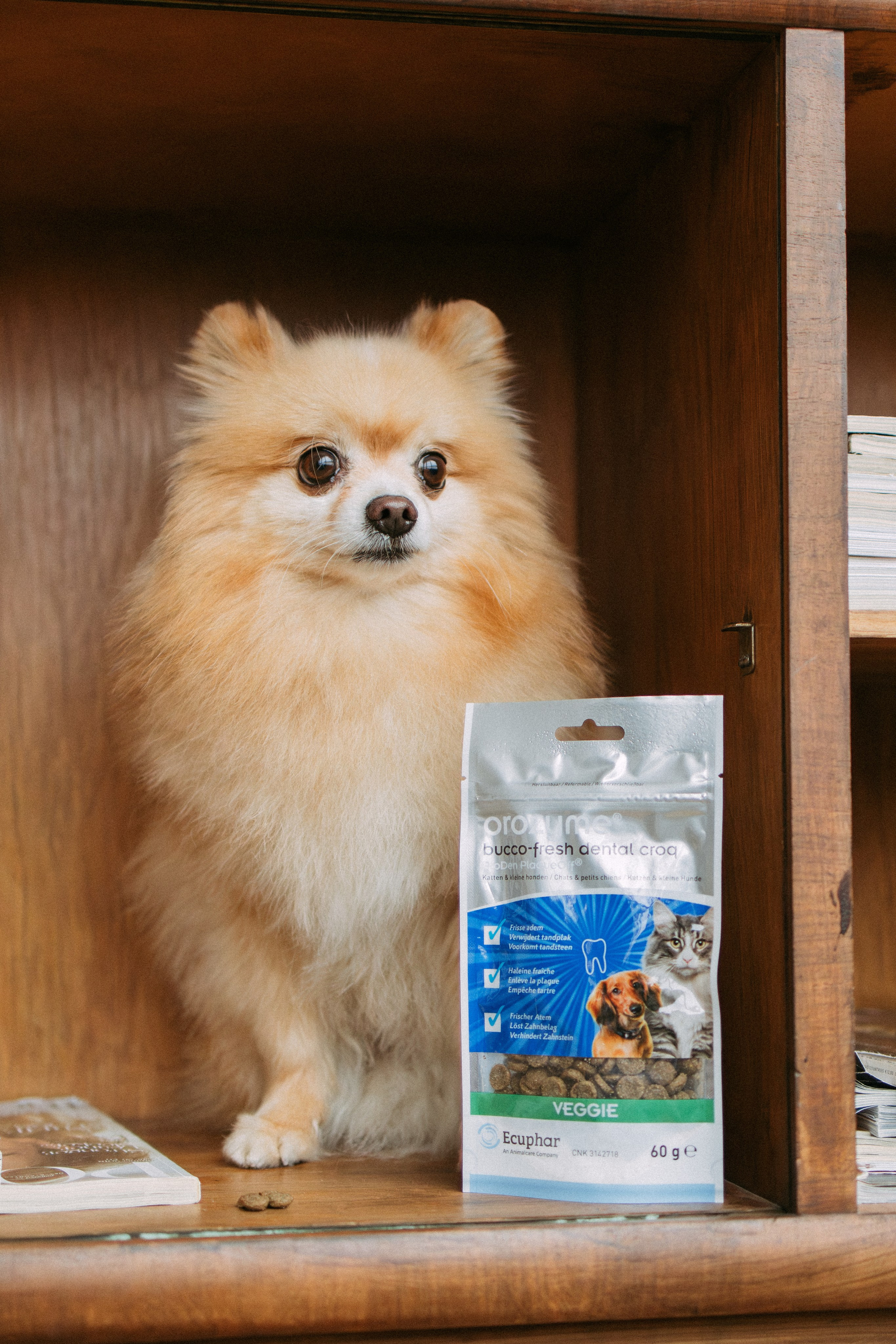 Orozyme&Emmiepet. Фотораф — анималист Мария Шистка