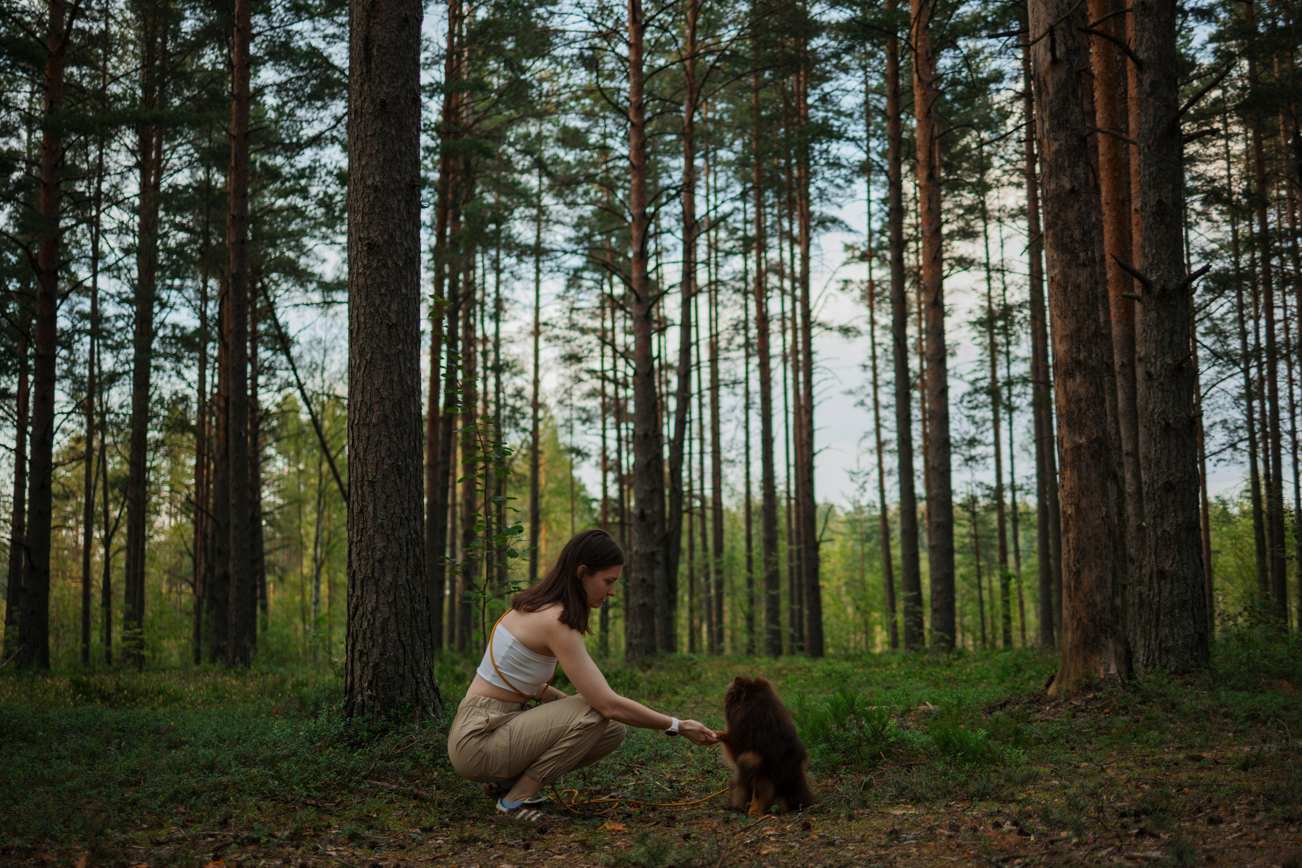 Сапфир и его семья. Фотограф-анималист в Санкт-Петеребурге Титова Алиса