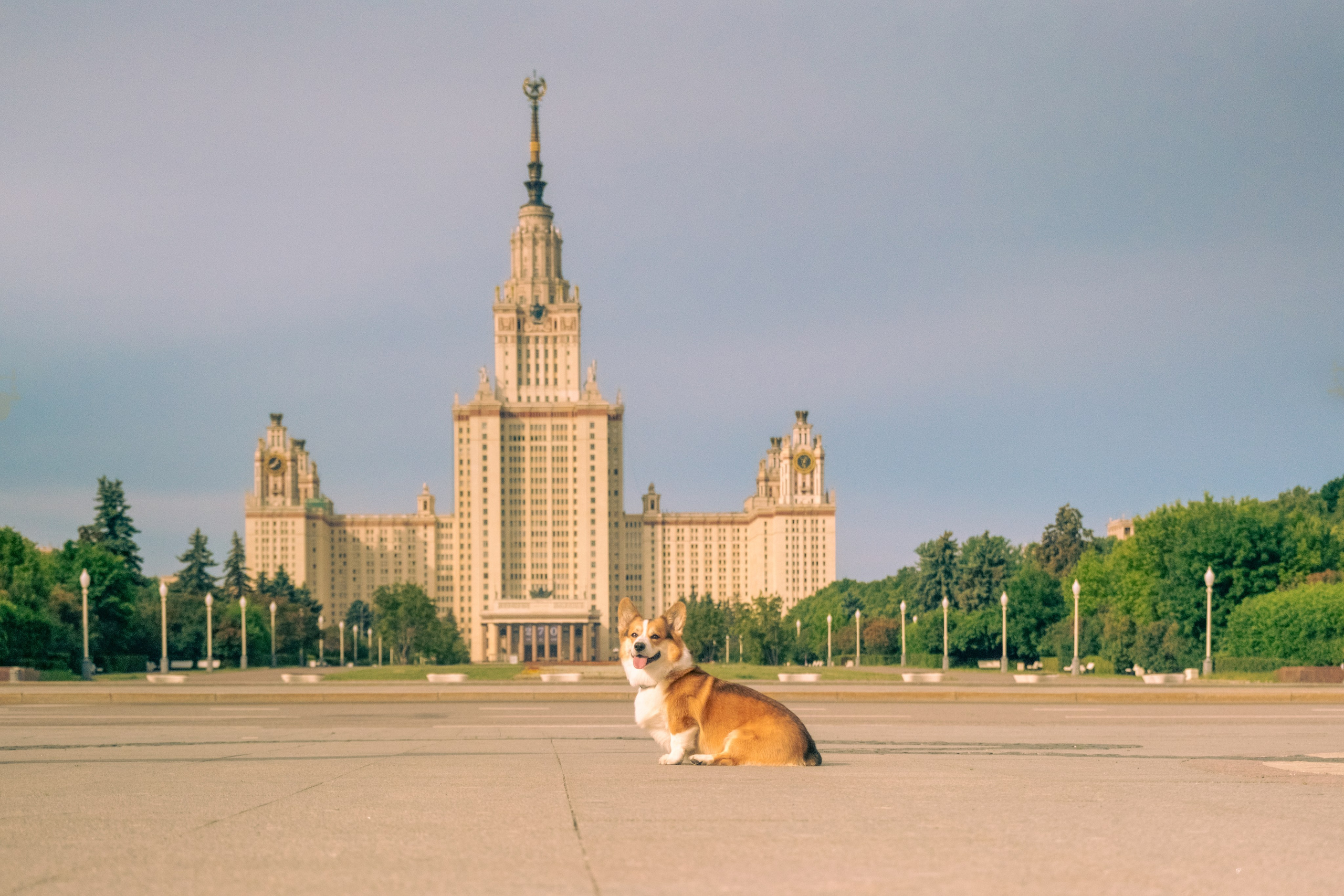 Фотопрогулка для Владислава. Зоофотограф, фотограф животных в Москве и области Дина Дамоцева