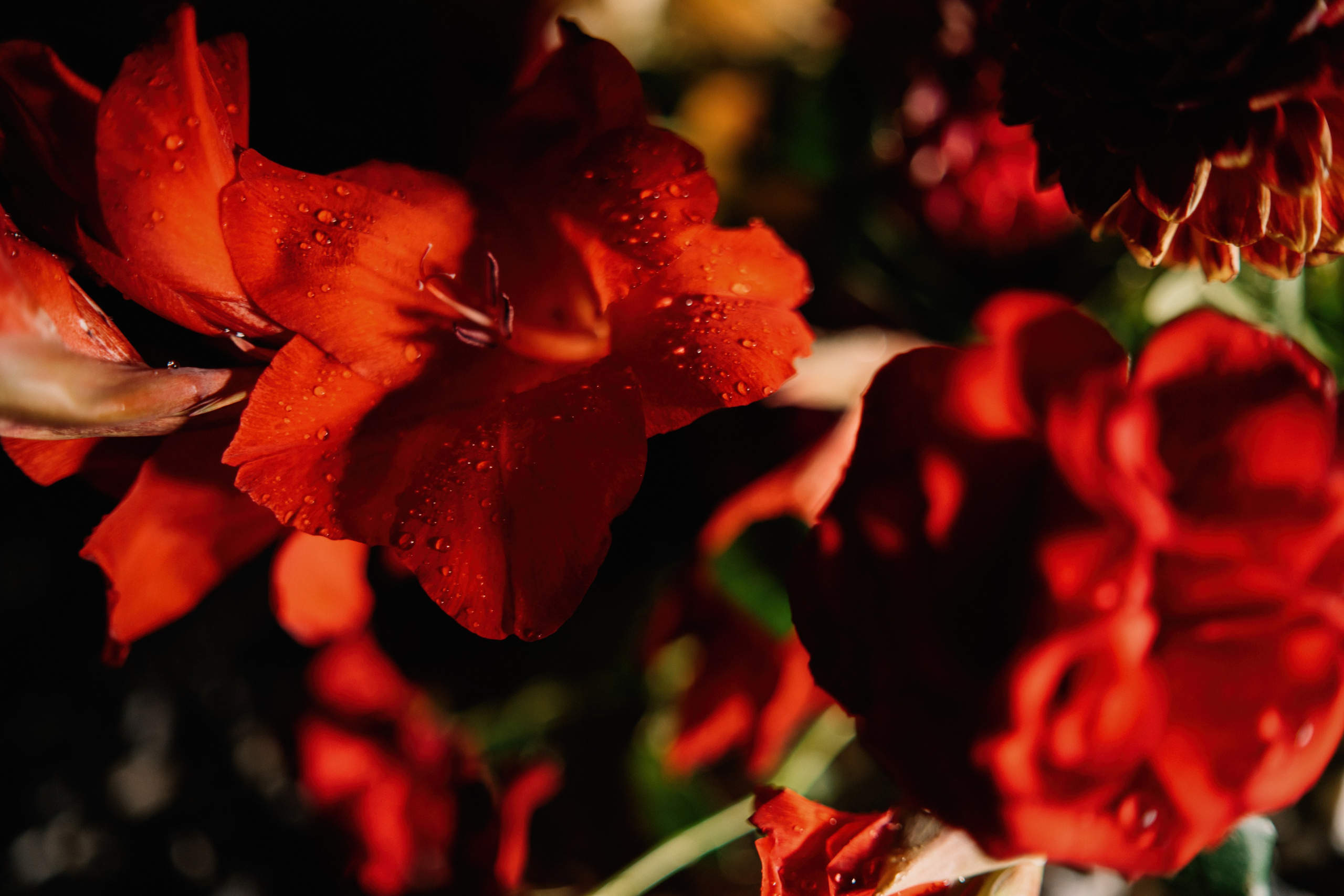 Со школьной парты. Свадебный фотограф в Калуге Алексей Климов