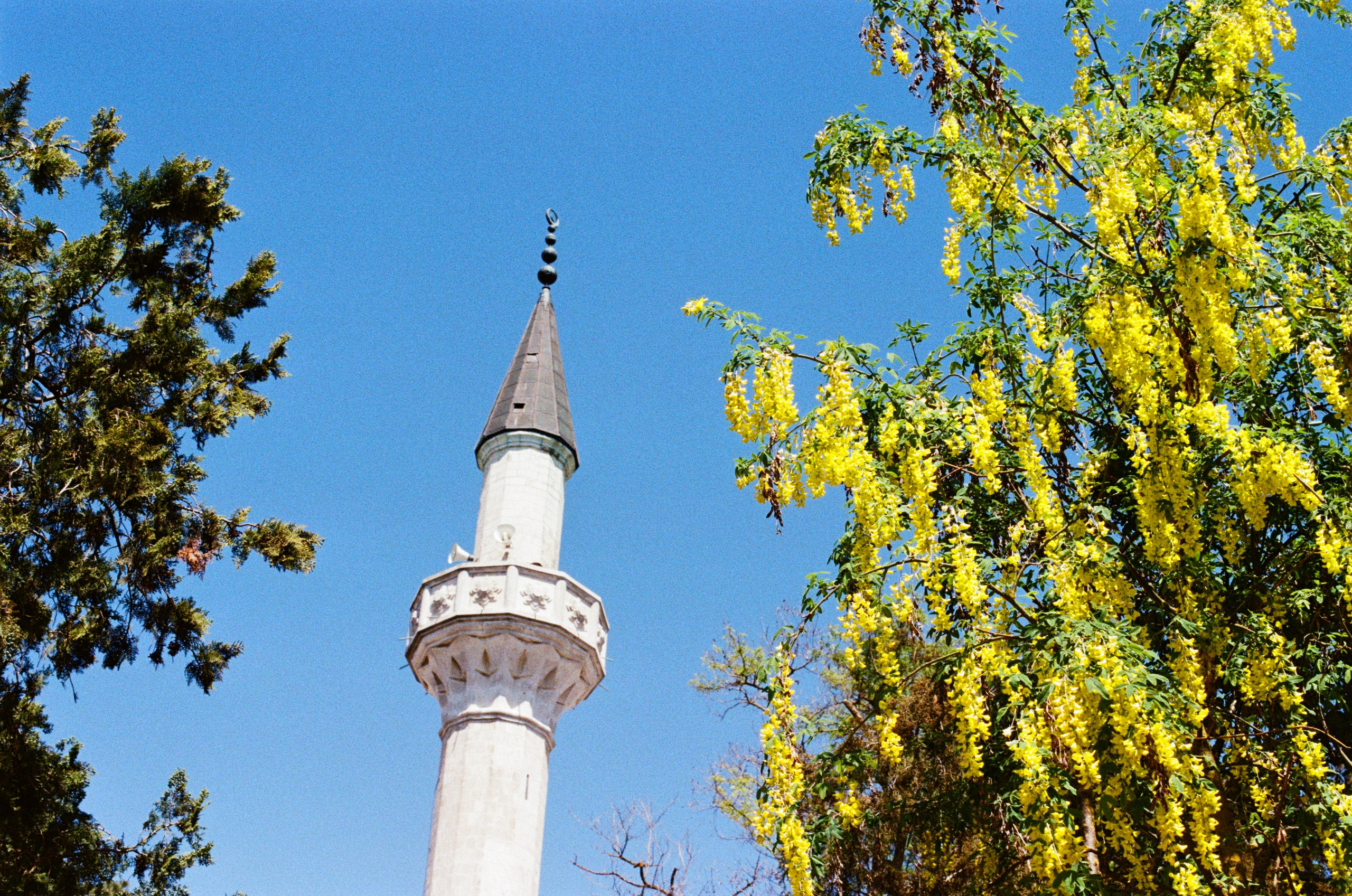 Press enter to exit // ukraine, crimea VII. EVER EXPOSED