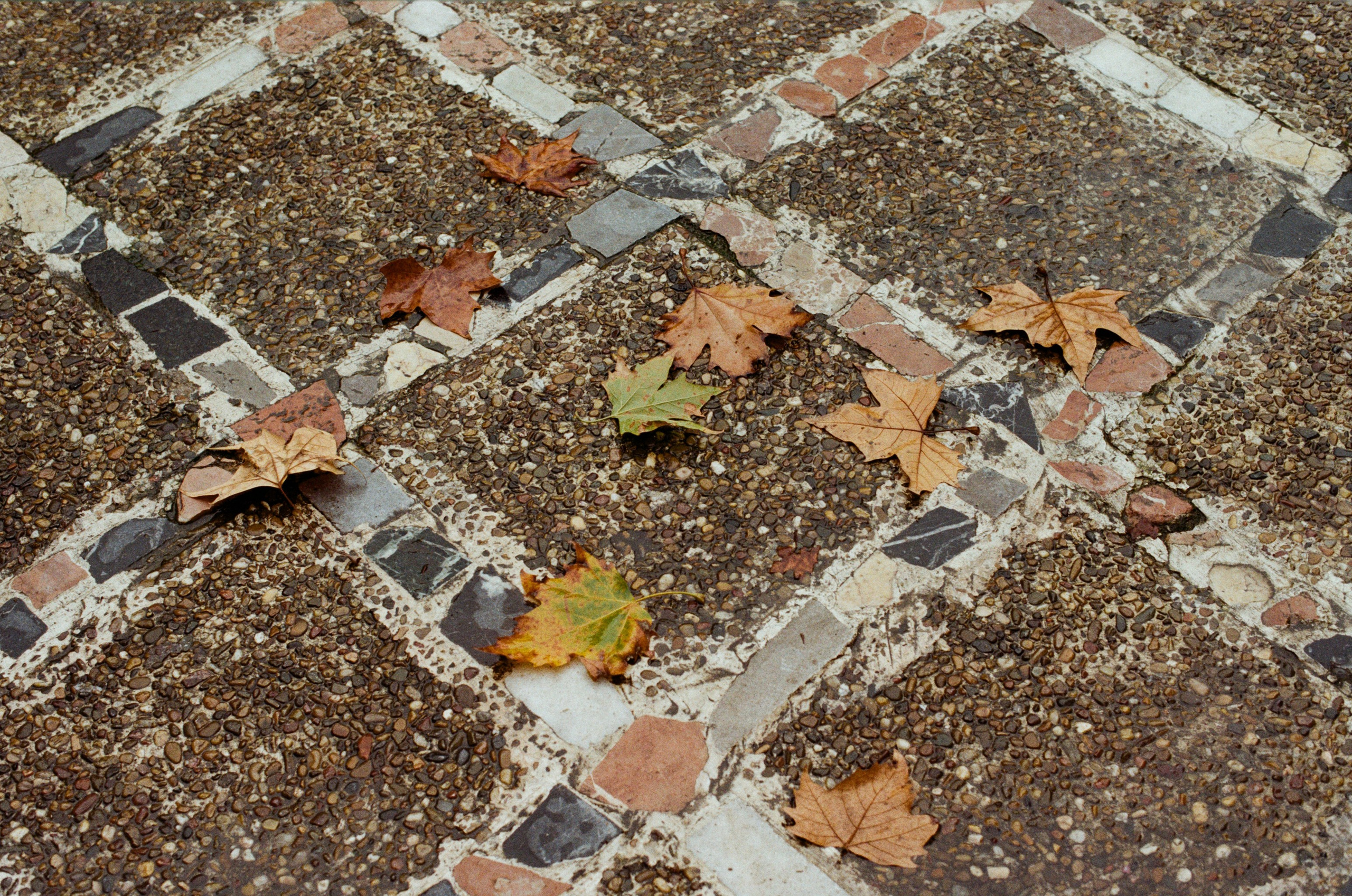 Spanish sahara // spain, seville. EVER EXPOSED