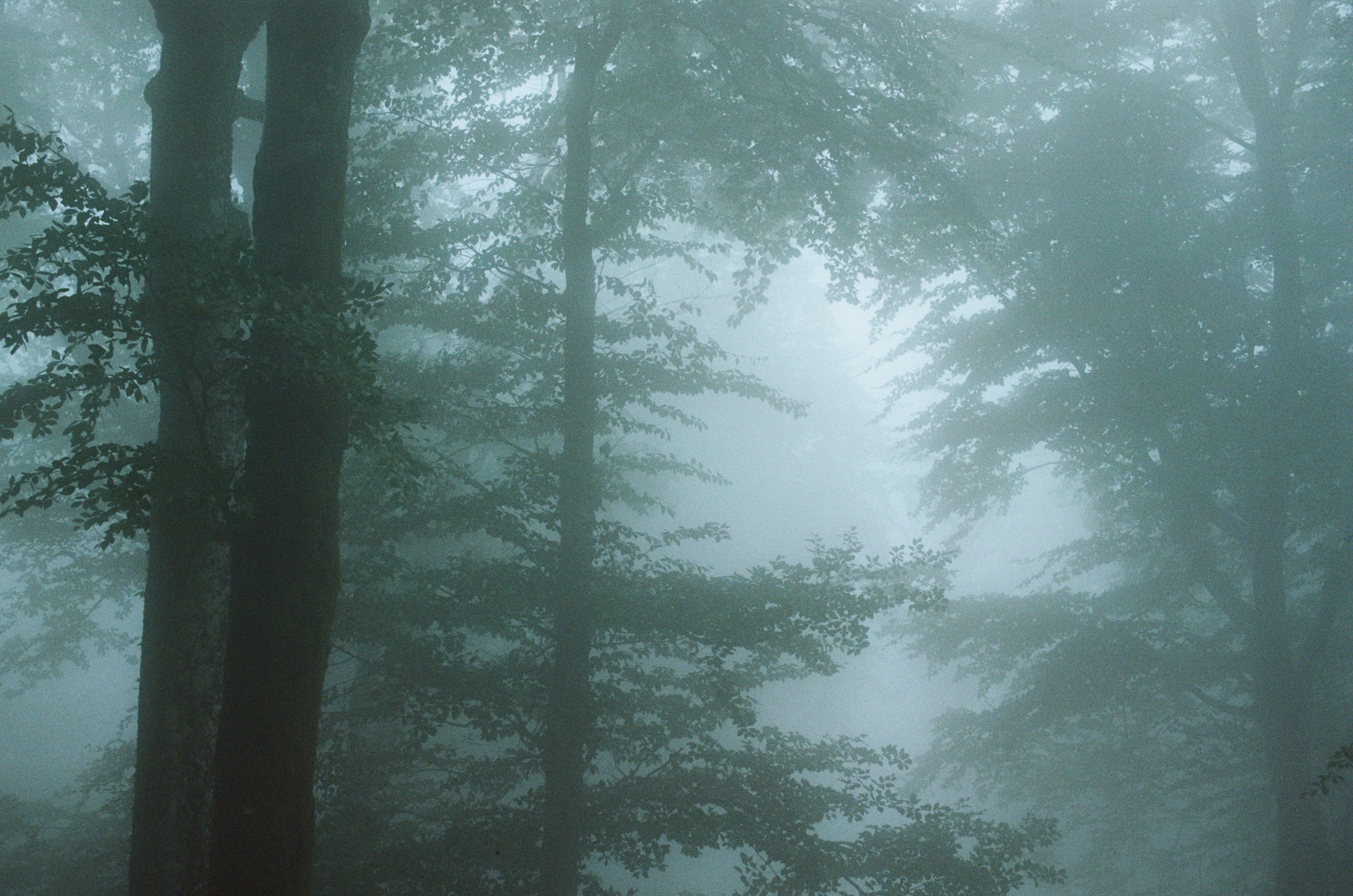 Dig it // ukraine, crimea. EVER EXPOSED