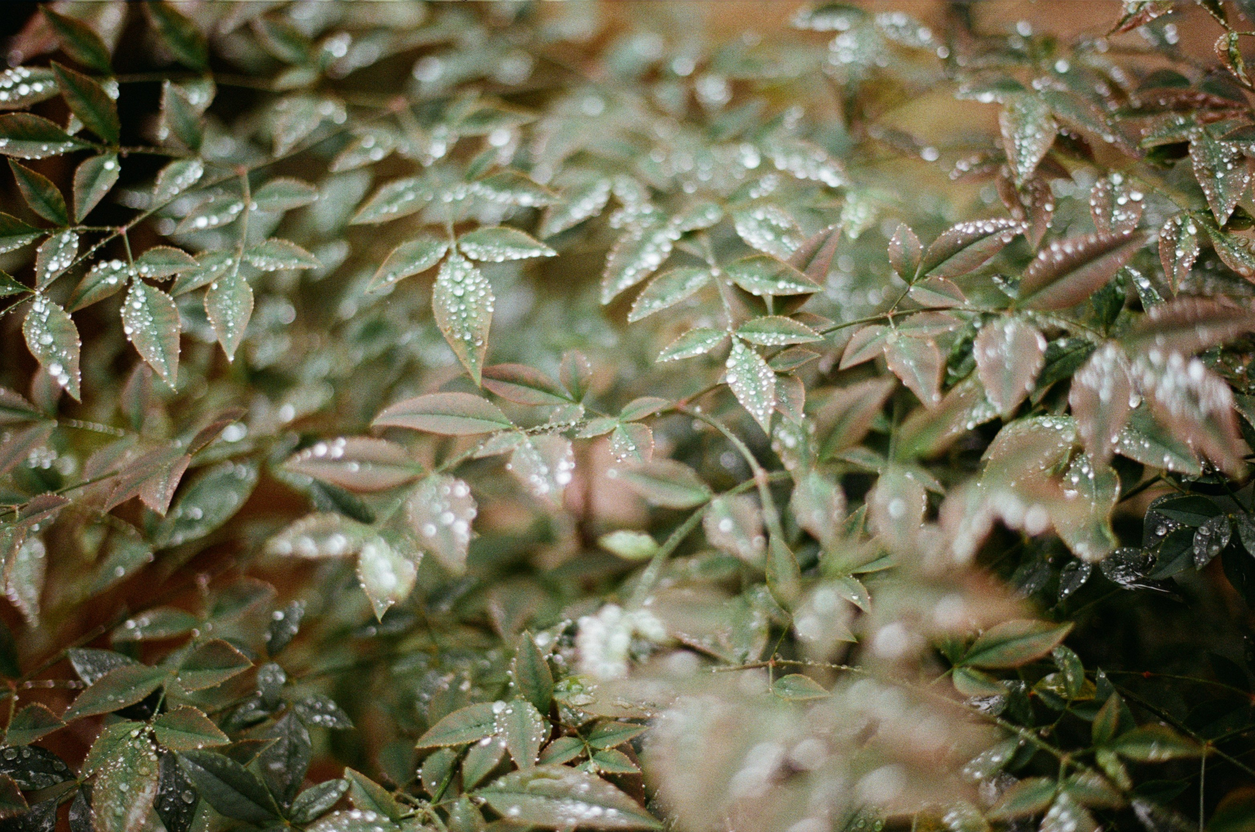 Spanish sahara // spain, seville. EVER EXPOSED