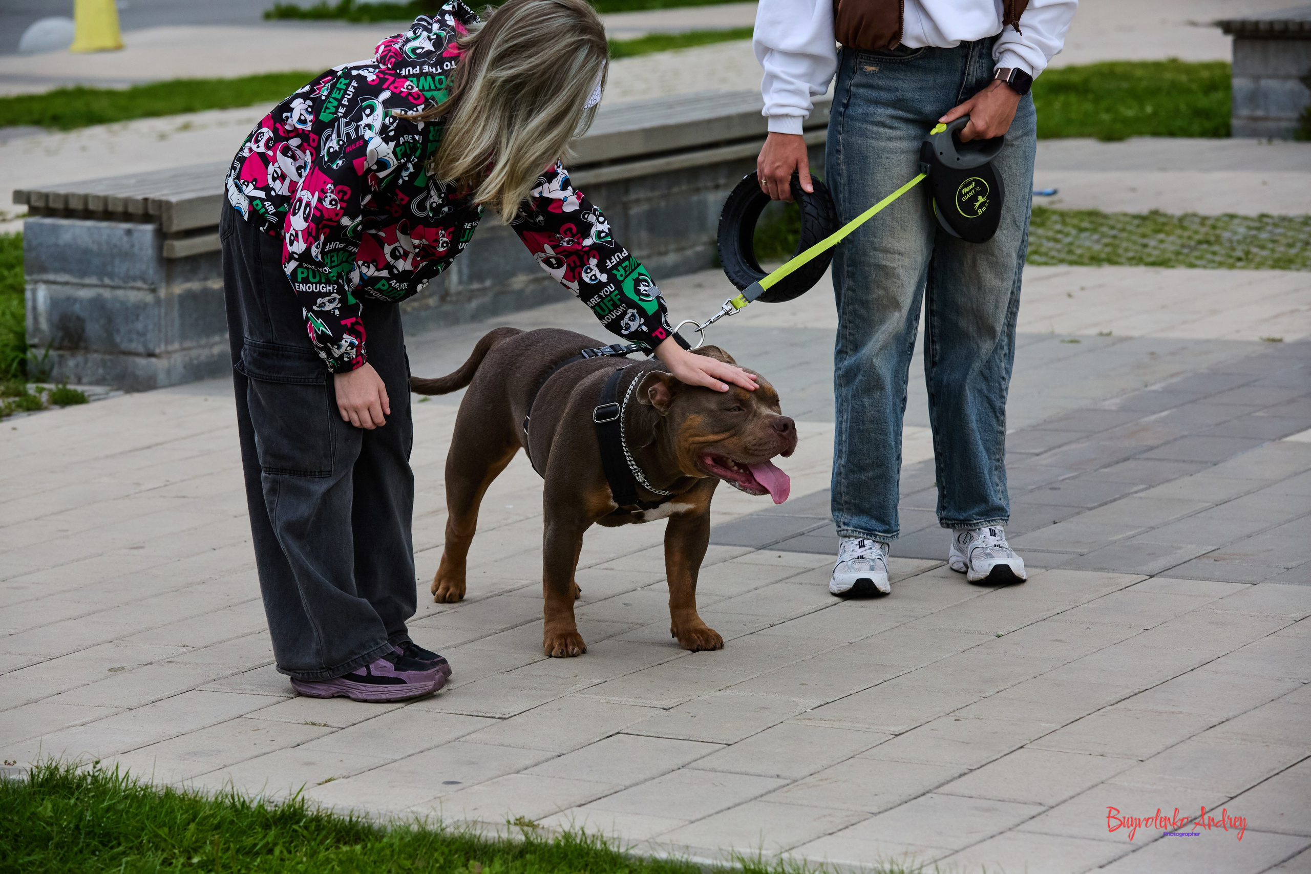 Проект фотопрогулка с хвостиком. Buyvolenko Andrey