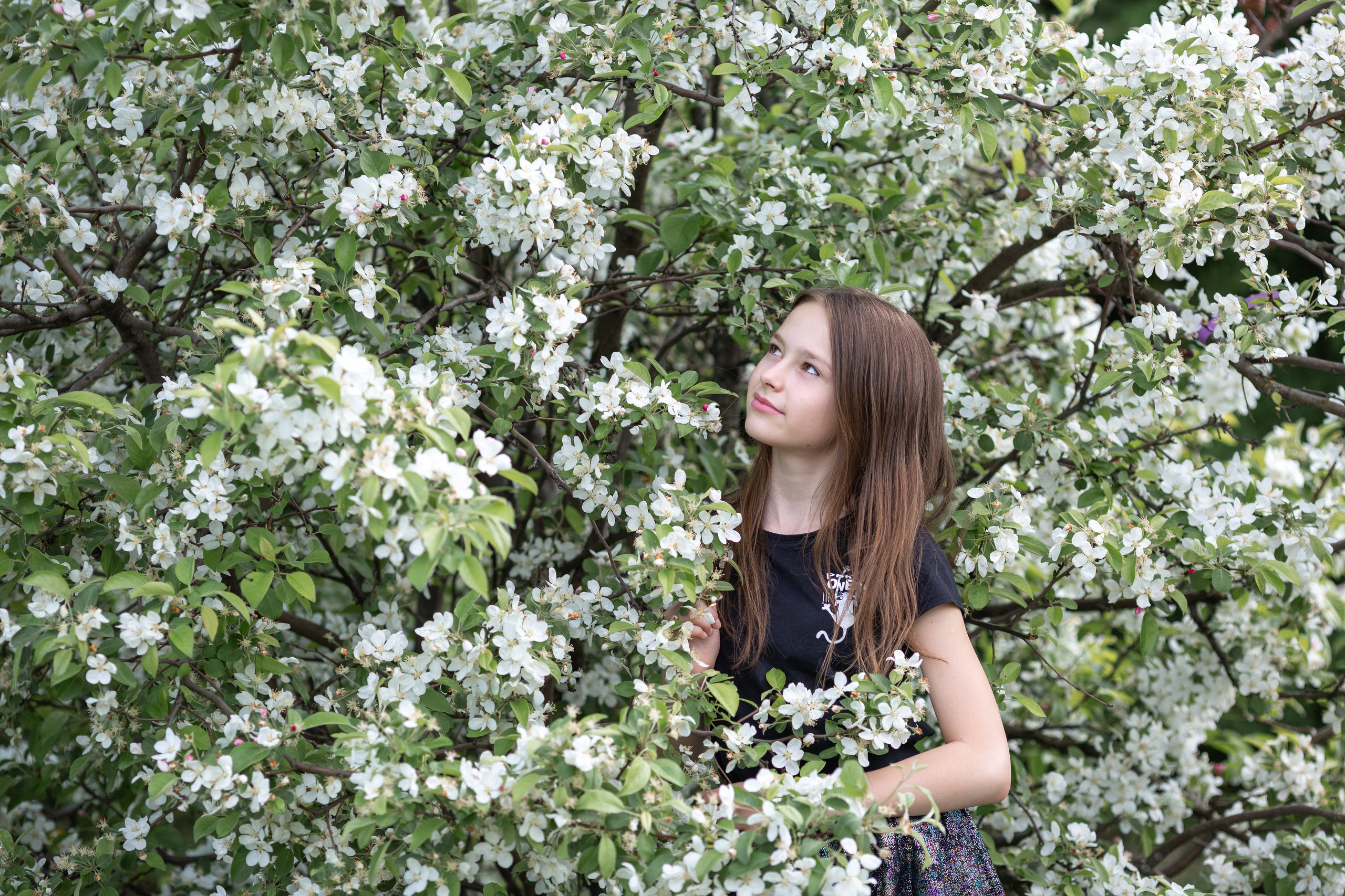 Семейная фотосессия в цветении. Свадебные фотографы в Москве: Денис и Елена Пройдовы