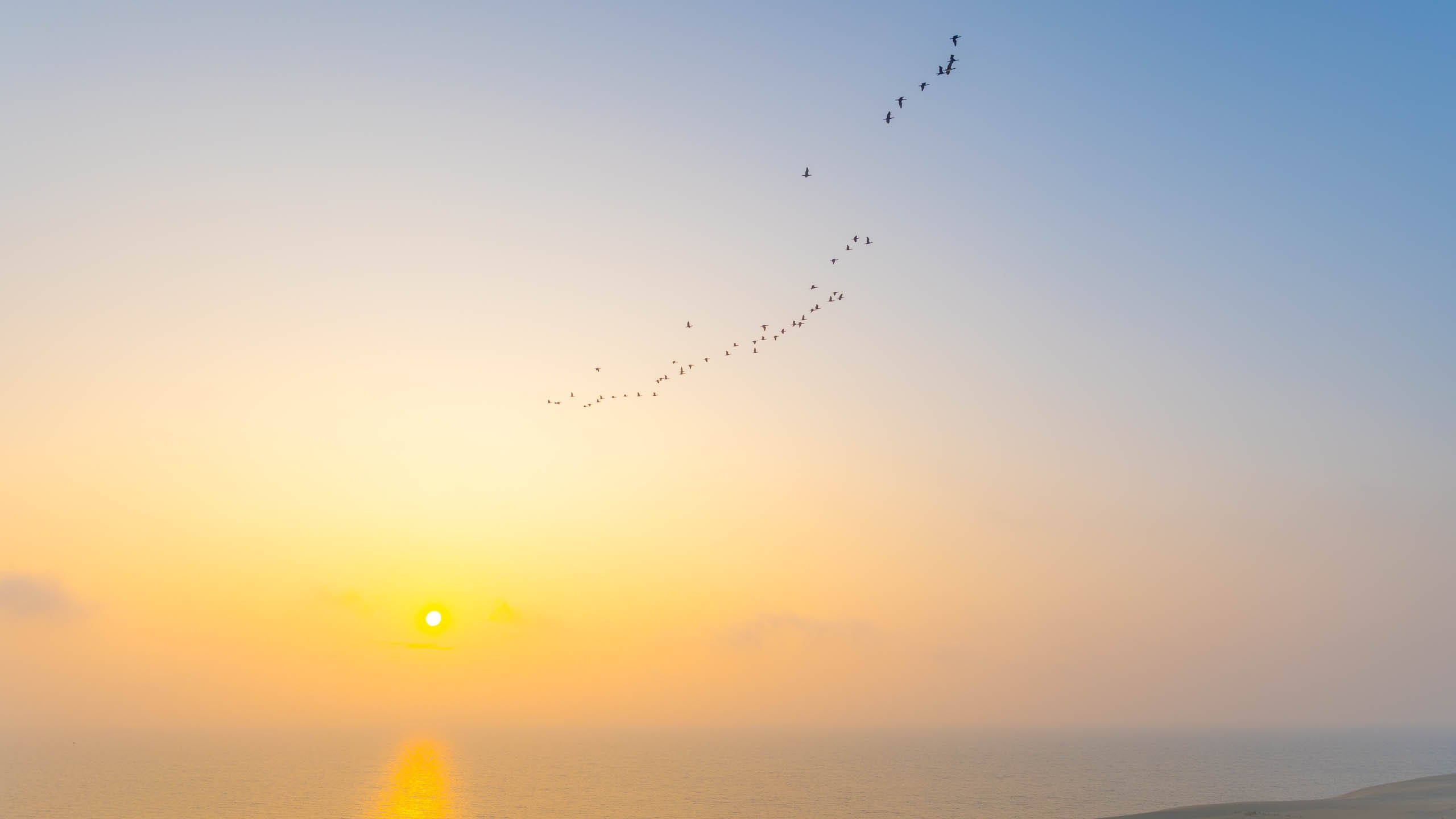 2024 10 Зеленоградск, Светлогорск, Куршская коса. Фотографии